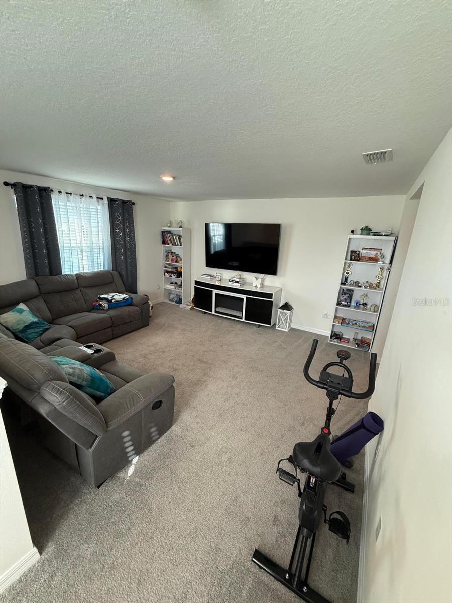 Single Family Residence at 10662 CHIPPEWA DR, PARRISH, photo 16 of 32
