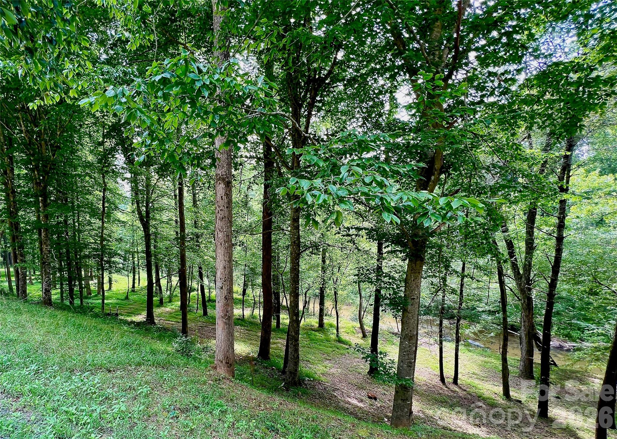 Lot at 5915 River Hollow Trail, Lenoir, photo 9 of 47