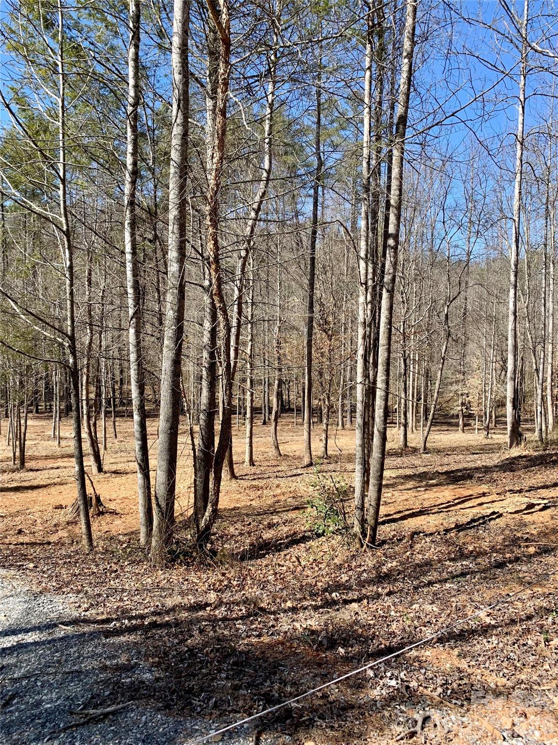Lot at 5915 River Hollow Trail, Lenoir, photo 7 of 47