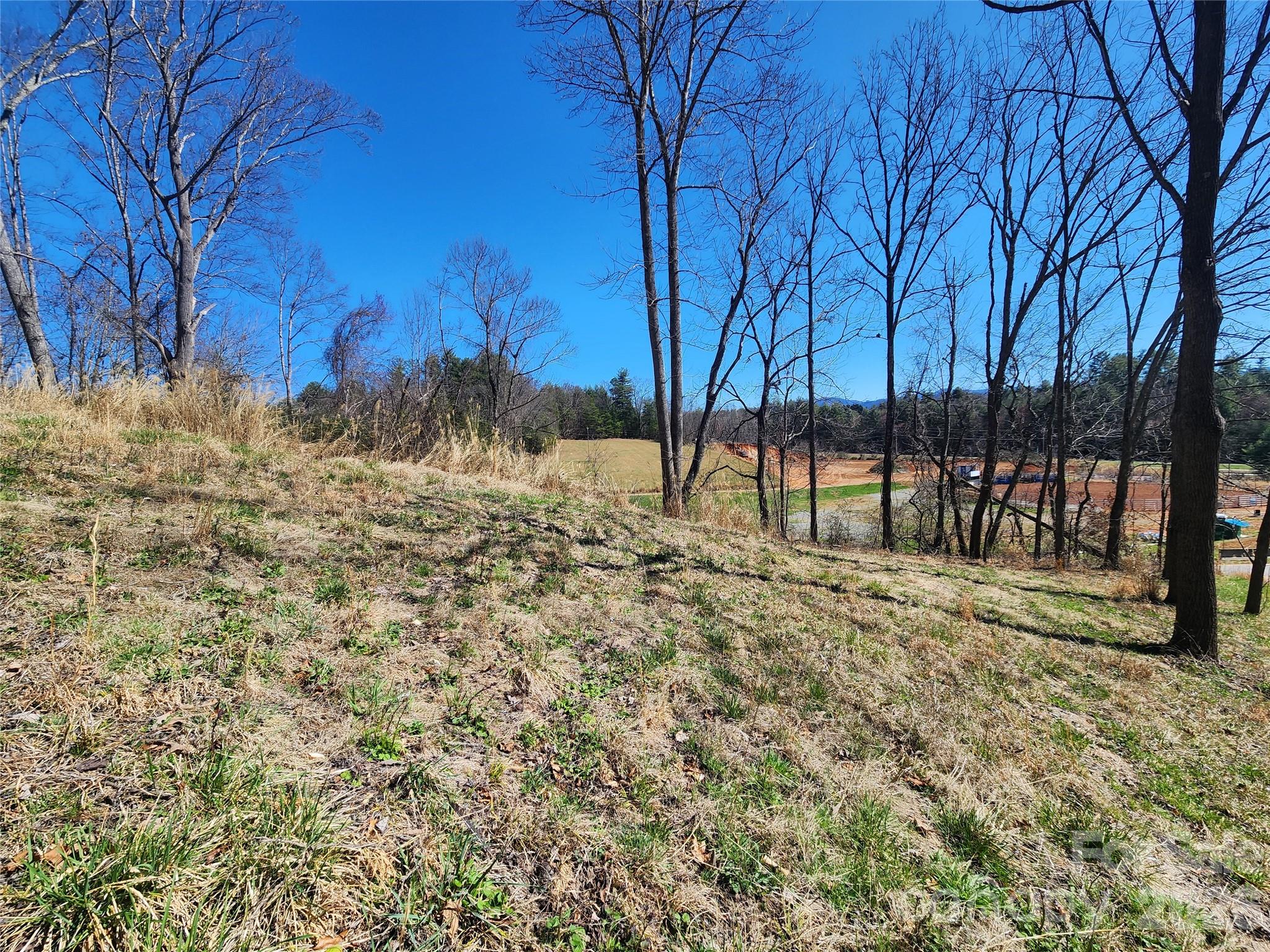 Lot at 9999 Country Drive, Mars Hill, photo 2 of 11