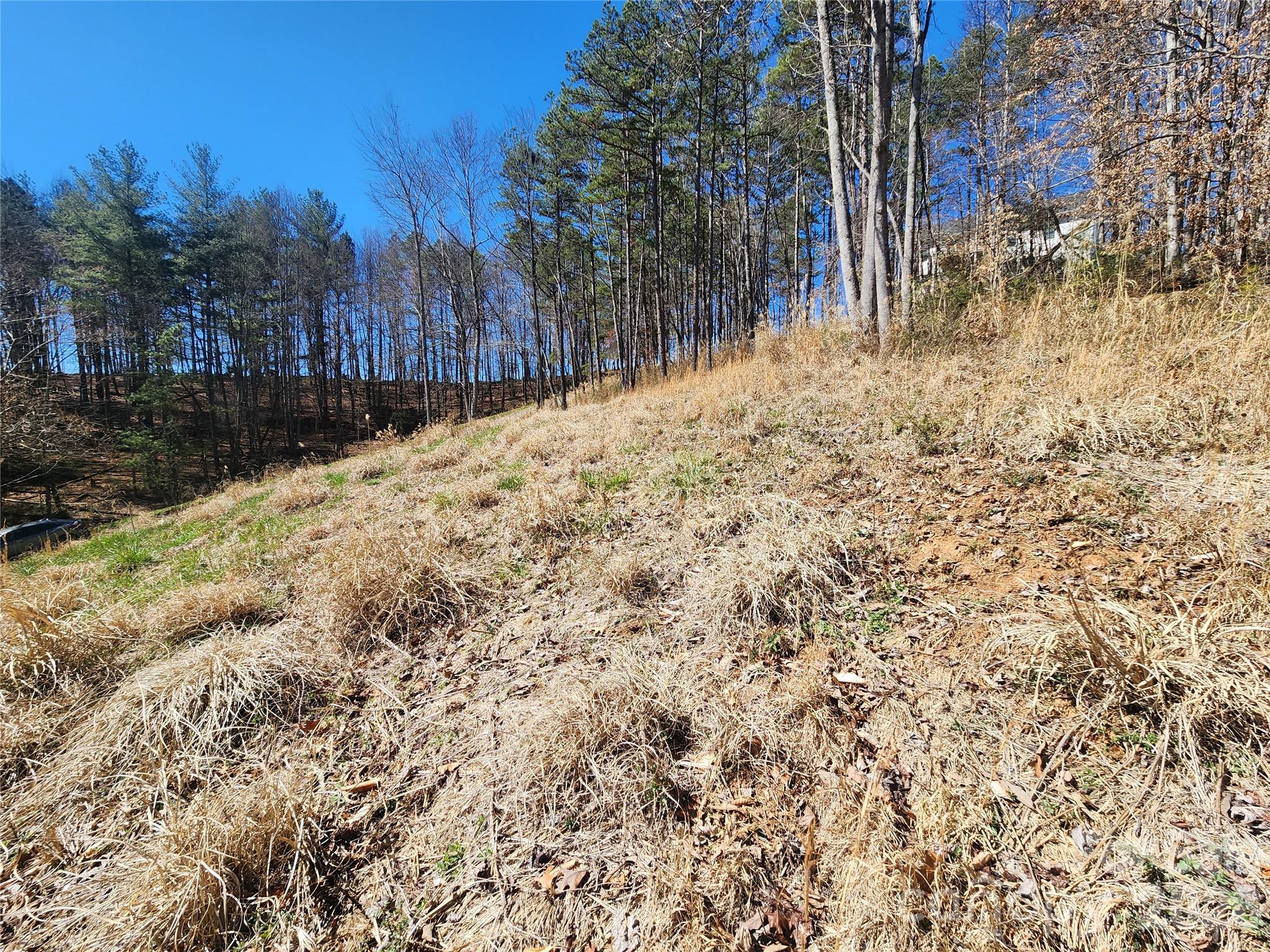 Lot at 9999 Country Drive, Mars Hill, photo 5 of 11