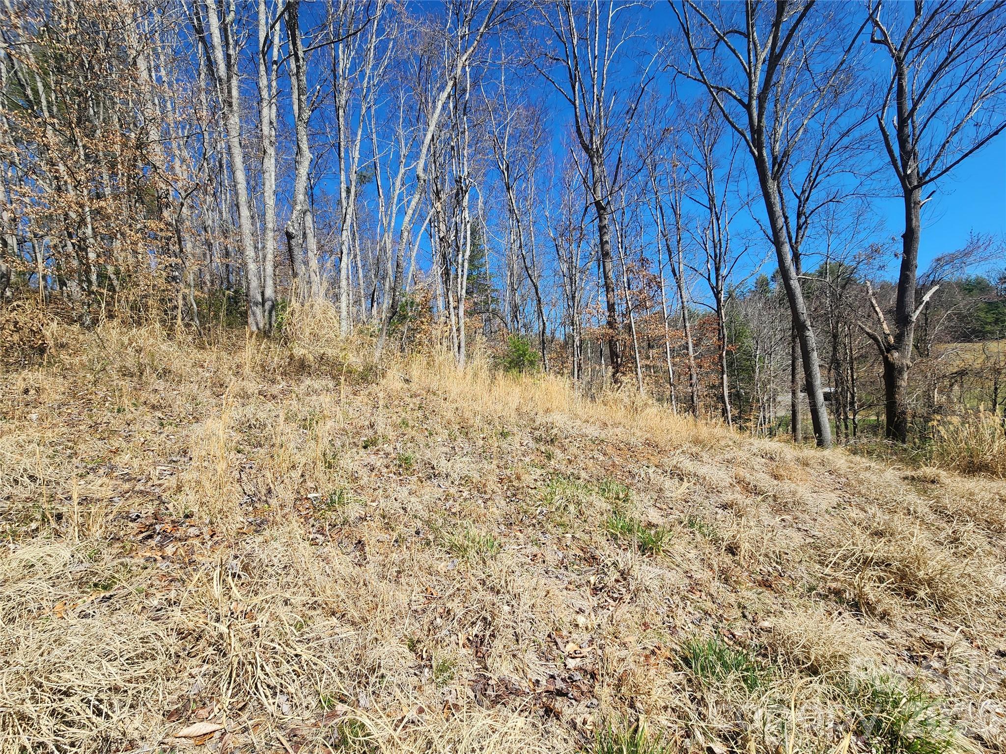 Lot at 9999 Country Drive, Mars Hill, photo 6 of 11