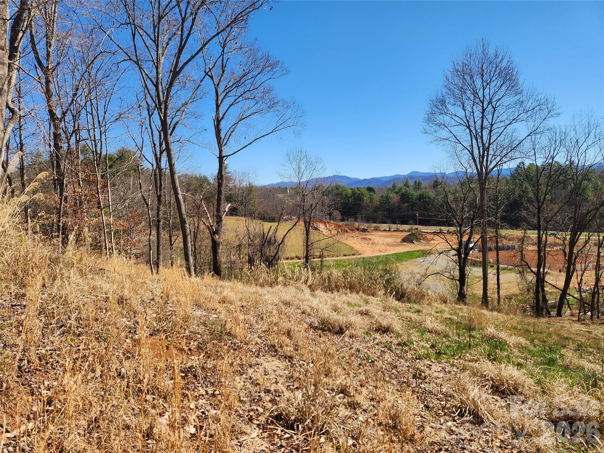 Lot at 9999 Country Drive, Mars Hill, photo 8 of 11