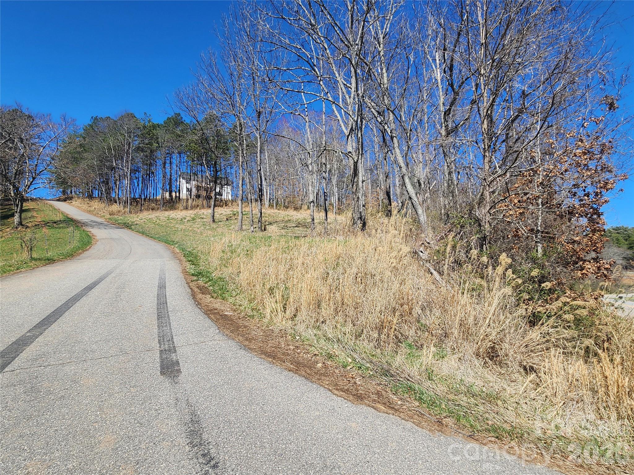 Lot at 9999 Country Drive, Mars Hill, photo 11 of 11