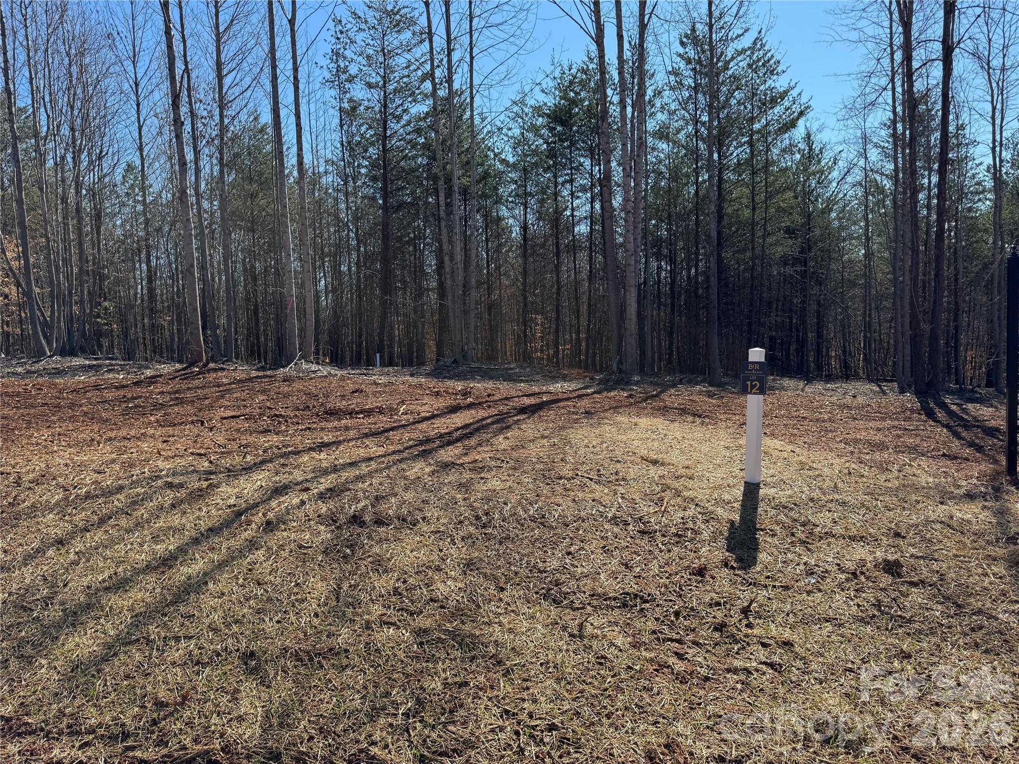 Lot at 5700 Bentley Ridge Drive, Davidson, photo 3 of 26