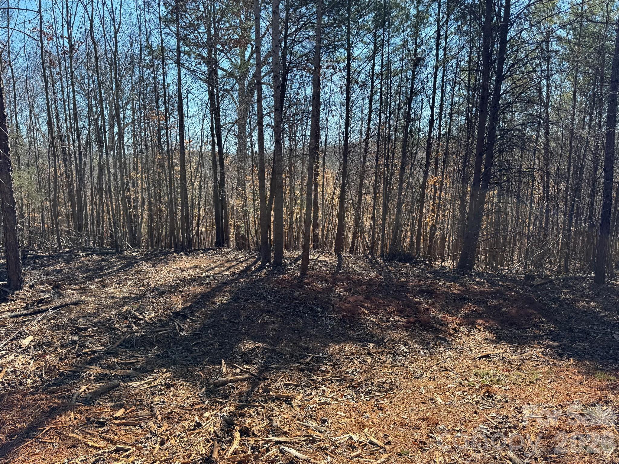 Lot at 5700 Bentley Ridge Drive, Davidson, photo 4 of 26