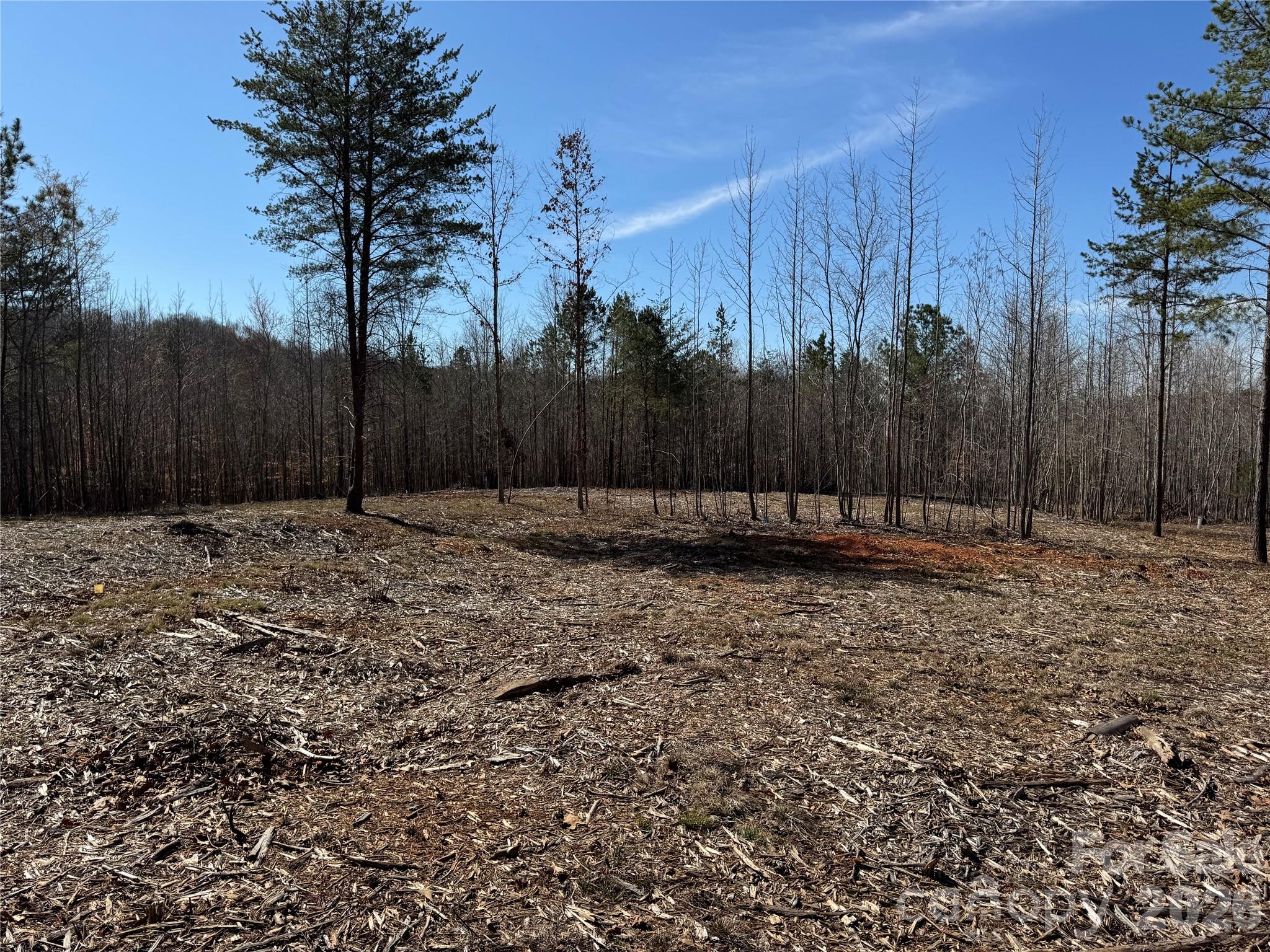 Lot at 5700 Bentley Ridge Drive, Davidson, photo 5 of 26