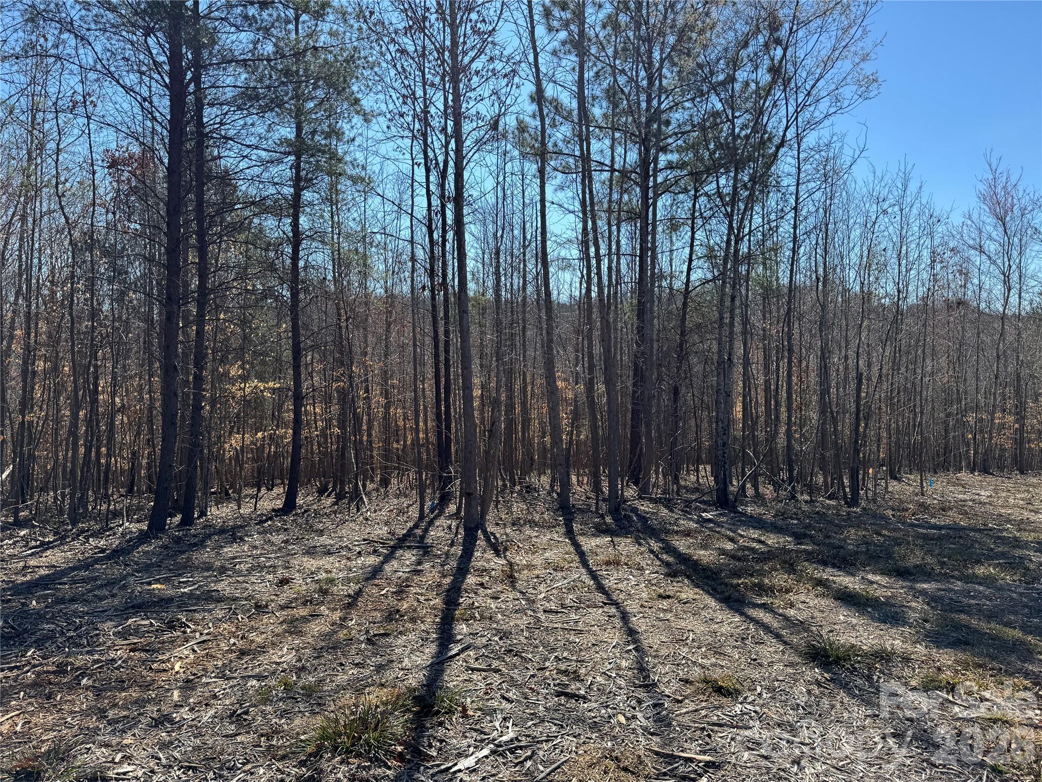 Lot at 5700 Bentley Ridge Drive, Davidson, photo 6 of 26