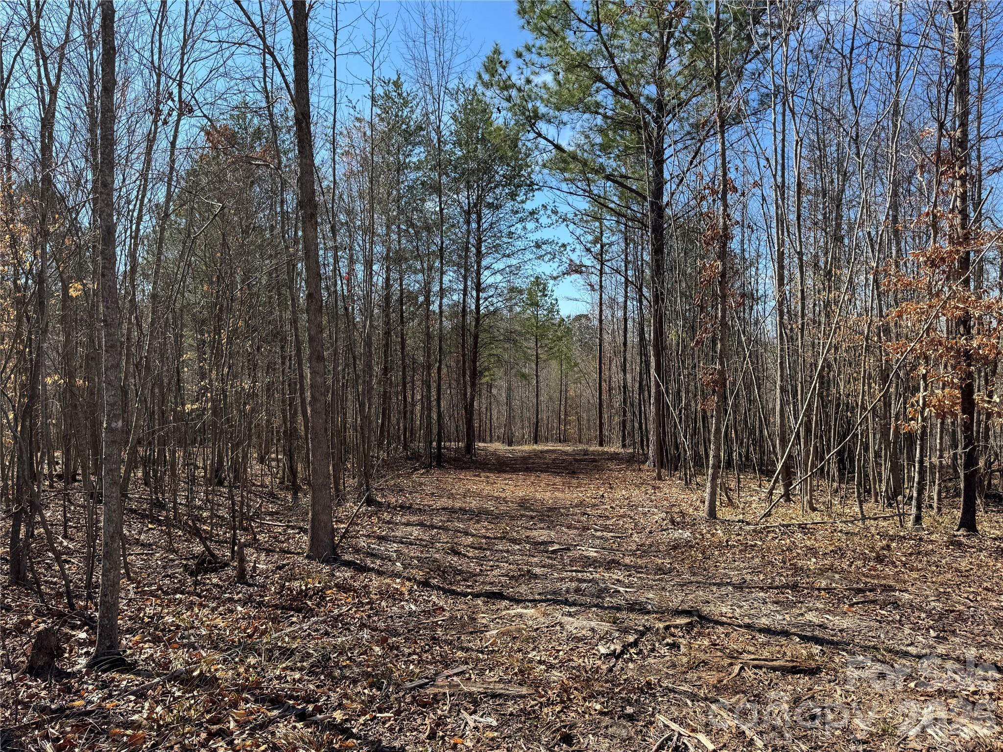 Lot at 5700 Bentley Ridge Drive, Davidson, photo 7 of 26