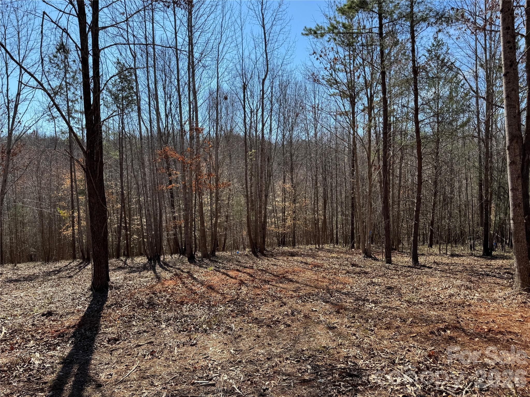 Lot at 5700 Bentley Ridge Drive, Davidson, photo 8 of 26