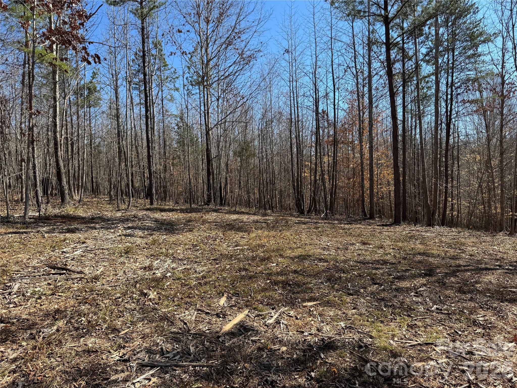 Lot at 5700 Bentley Ridge Drive, Davidson, photo 9 of 26