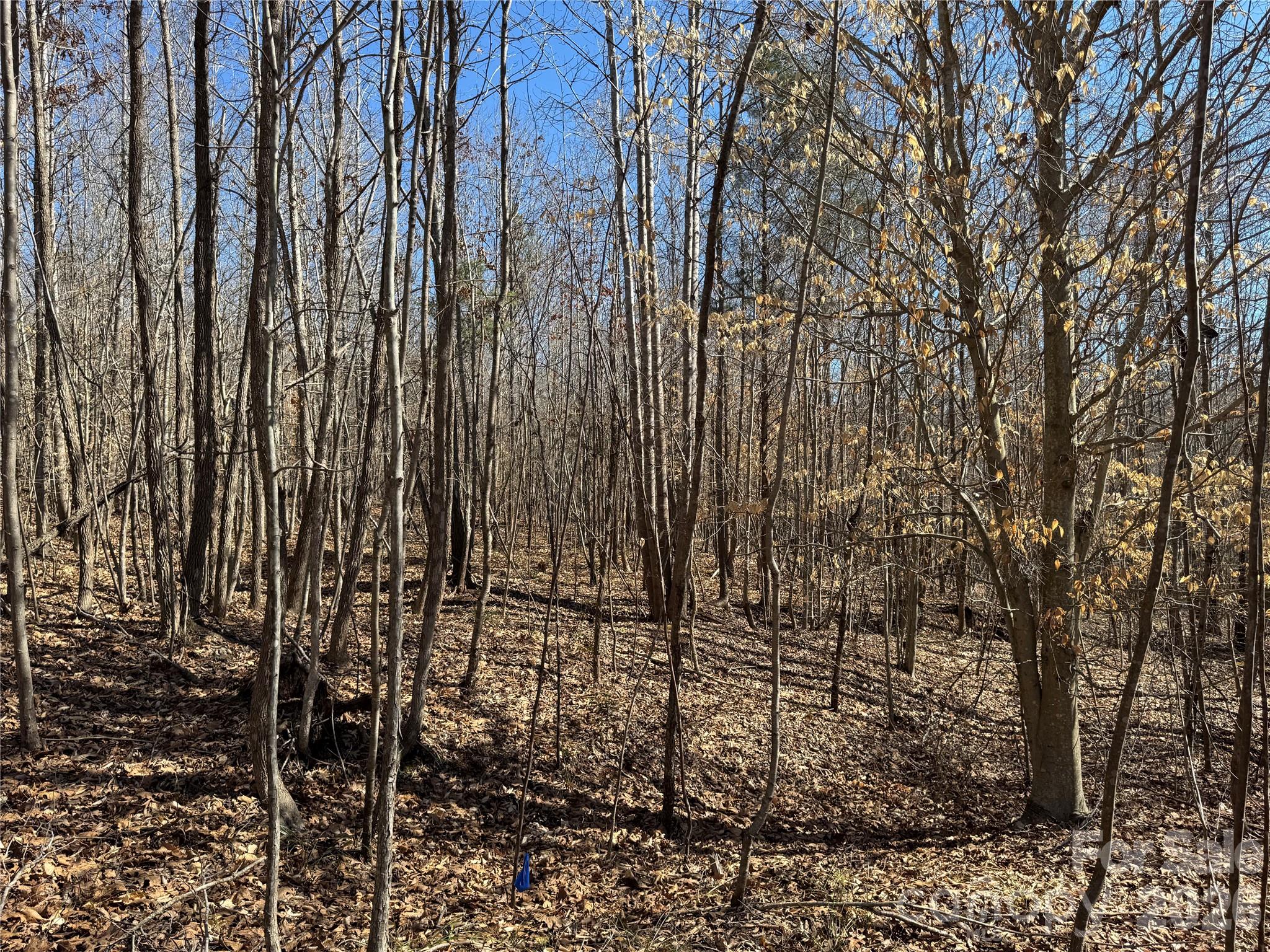 Lot at 5700 Bentley Ridge Drive, Davidson, photo 10 of 26