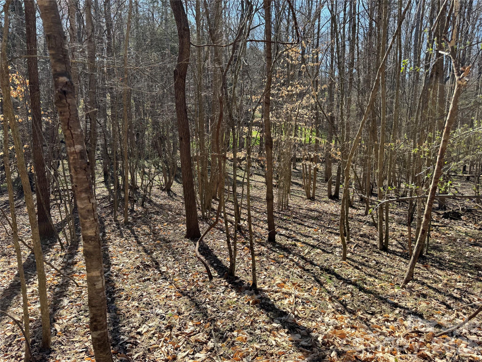 Lot at 5700 Bentley Ridge Drive, Davidson, photo 11 of 26
