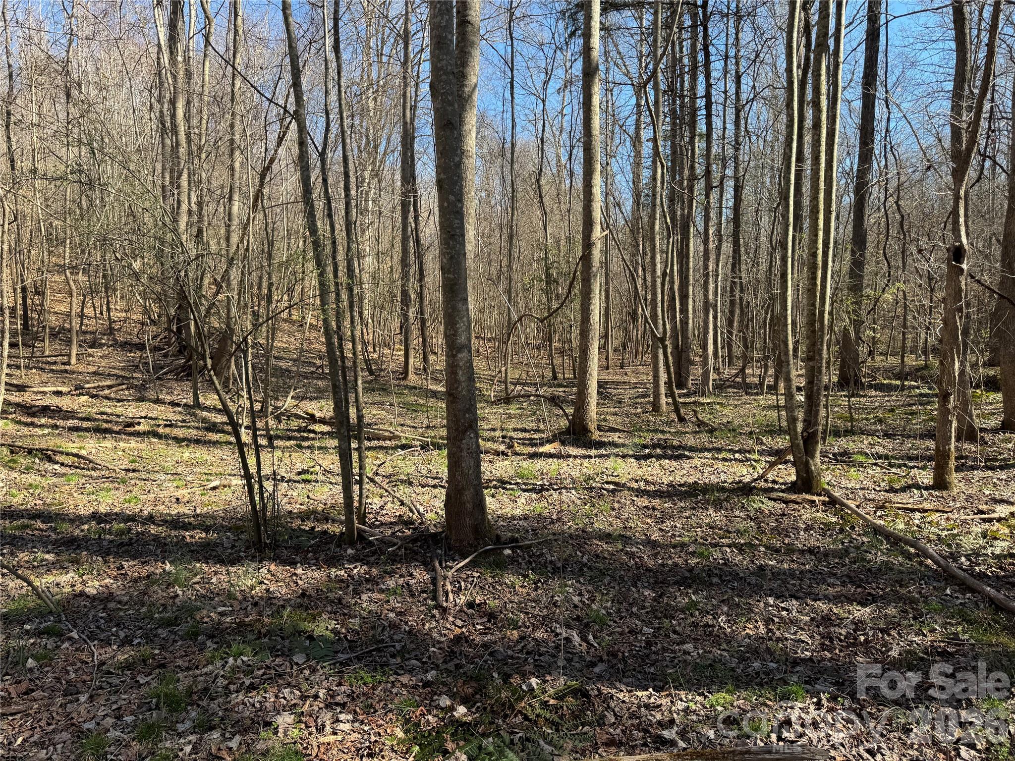 Lot at 5700 Bentley Ridge Drive, Davidson, photo 12 of 26