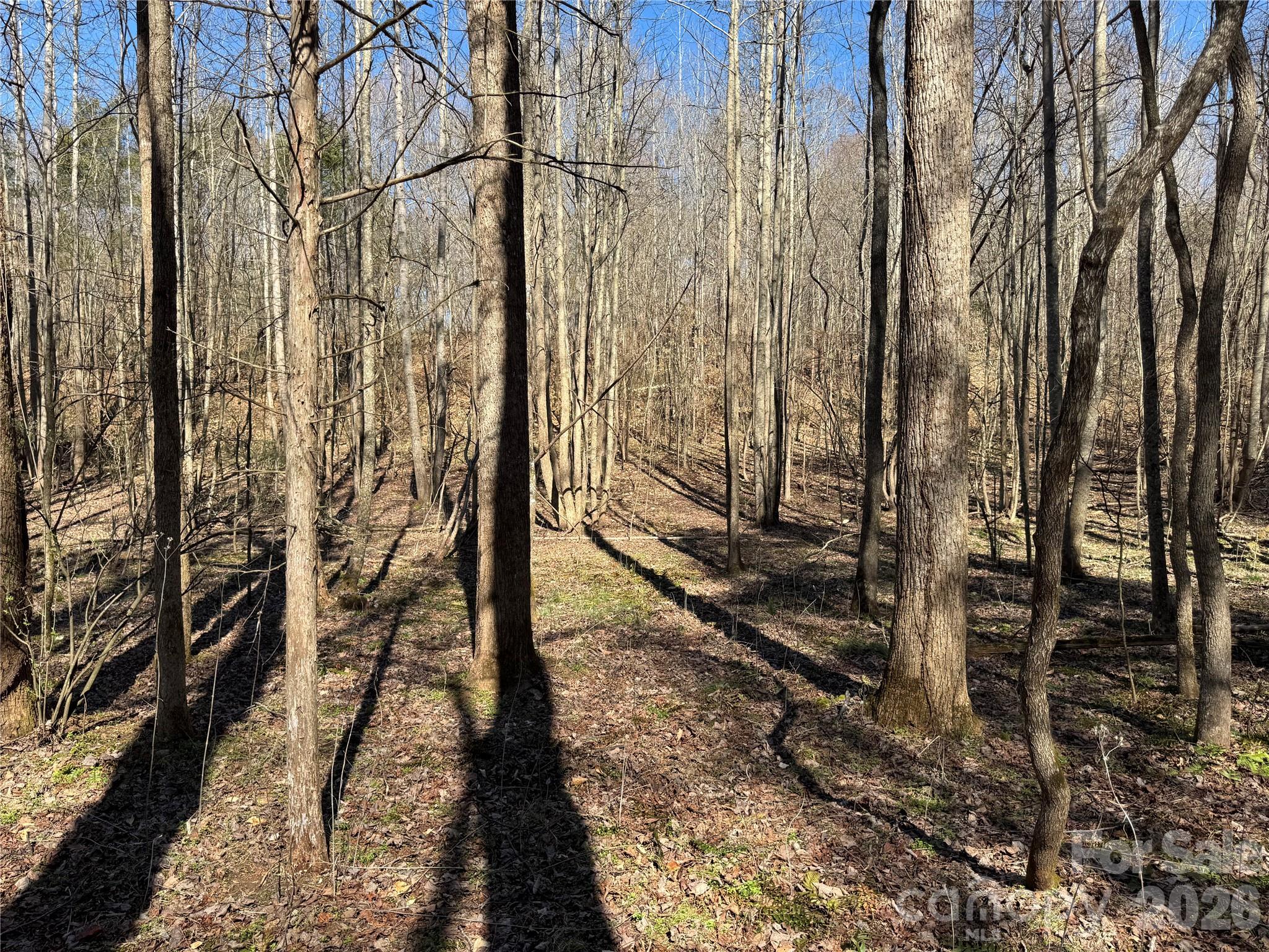 Lot at 5700 Bentley Ridge Drive, Davidson, photo 13 of 26