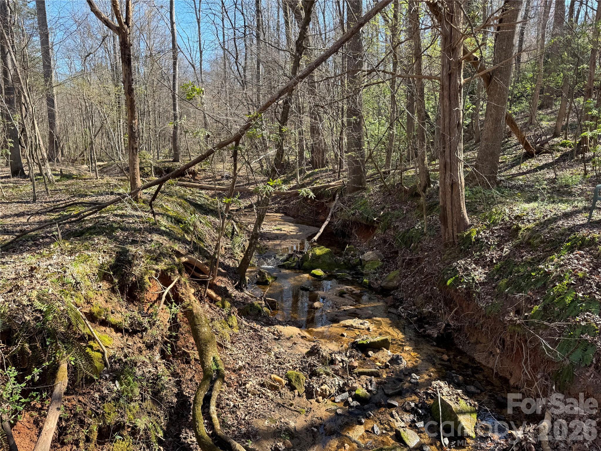 Lot at 5700 Bentley Ridge Drive, Davidson, photo 14 of 26