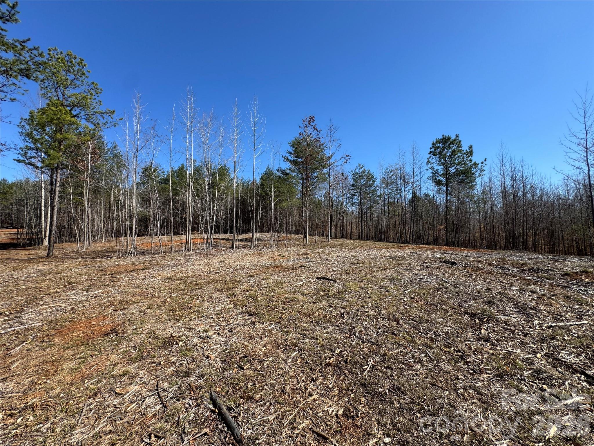 Lot at 5700 Bentley Ridge Drive, Davidson, photo 15 of 26