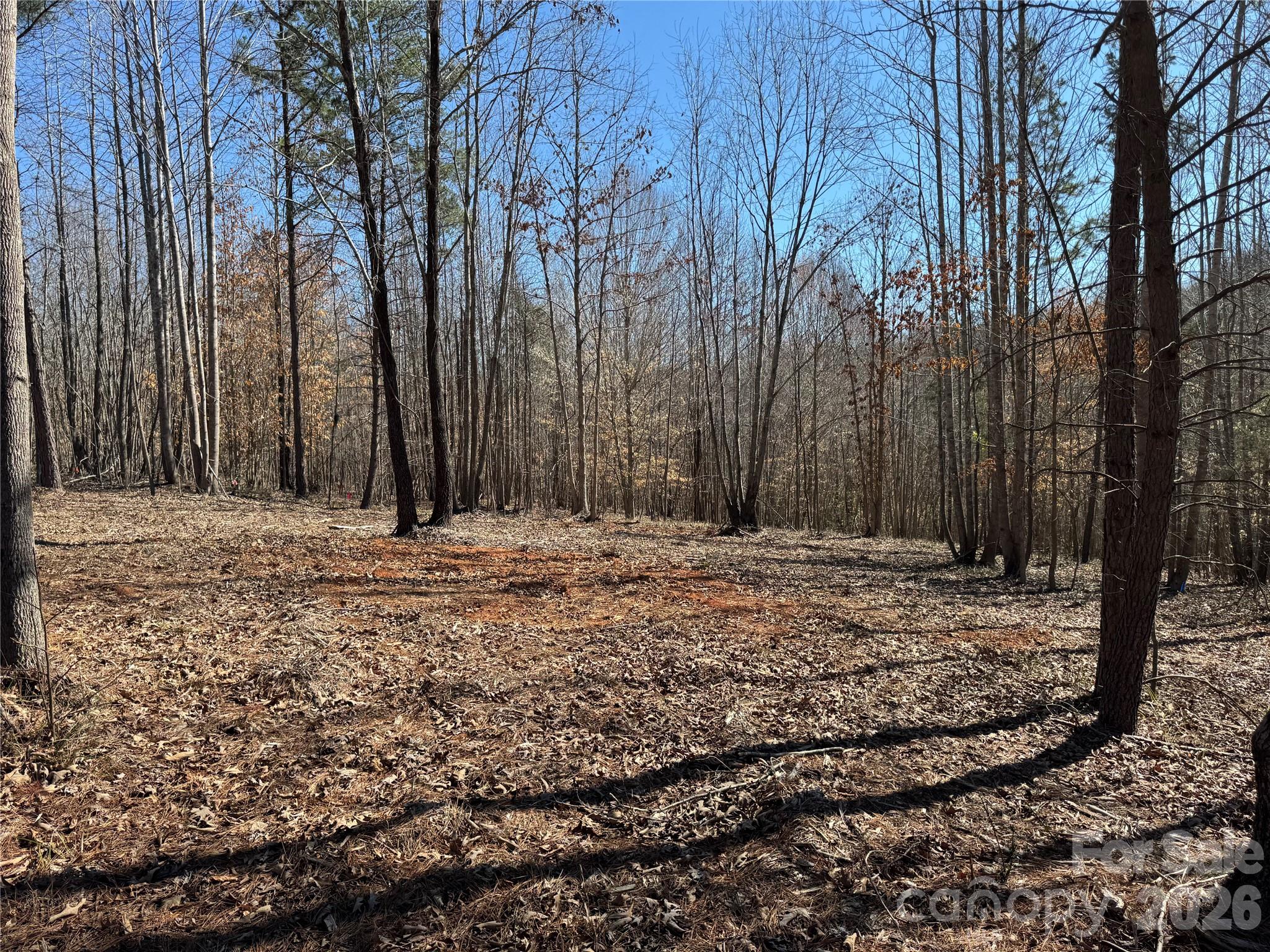 Lot at 5700 Bentley Ridge Drive, Davidson, photo 16 of 26