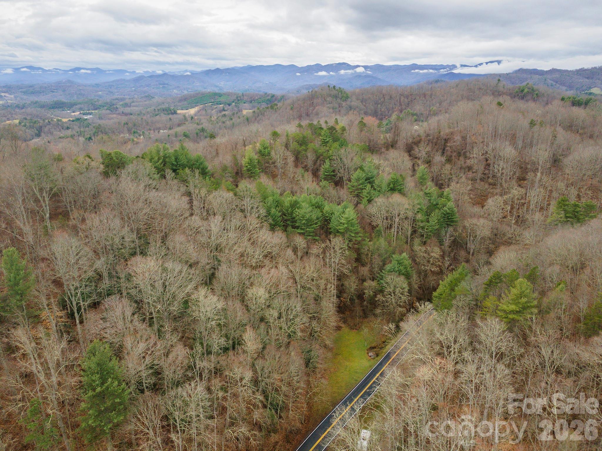 Acreage at 1974 Ammons Branch Road, Marshall, photo 3 of 15