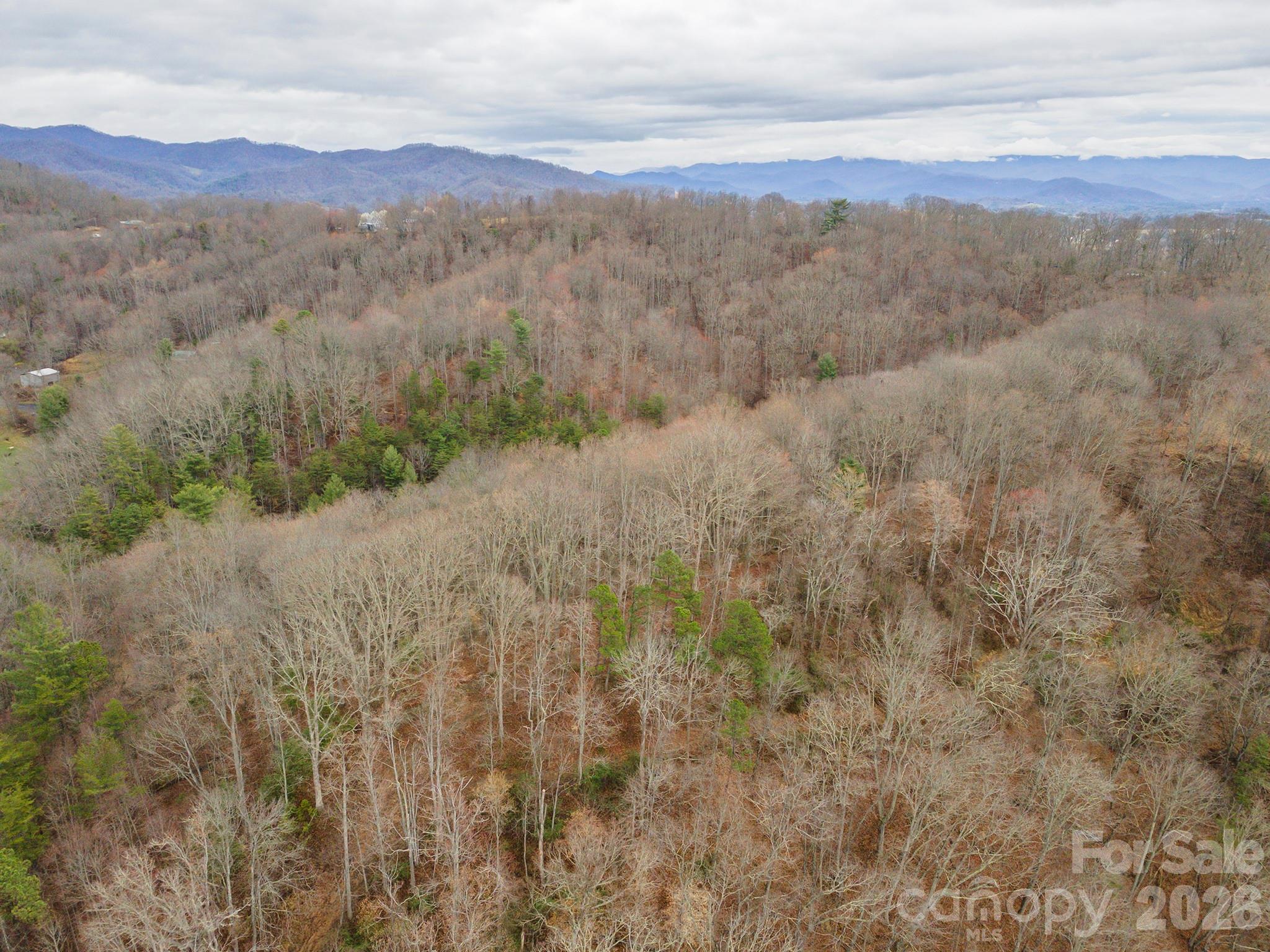 Acreage at 1974 Ammons Branch Road, Marshall, photo 6 of 15