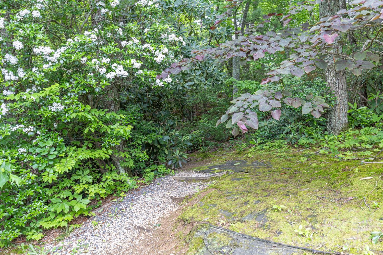 Hiking anyone? - 6 Grouse Terrace, Fairview