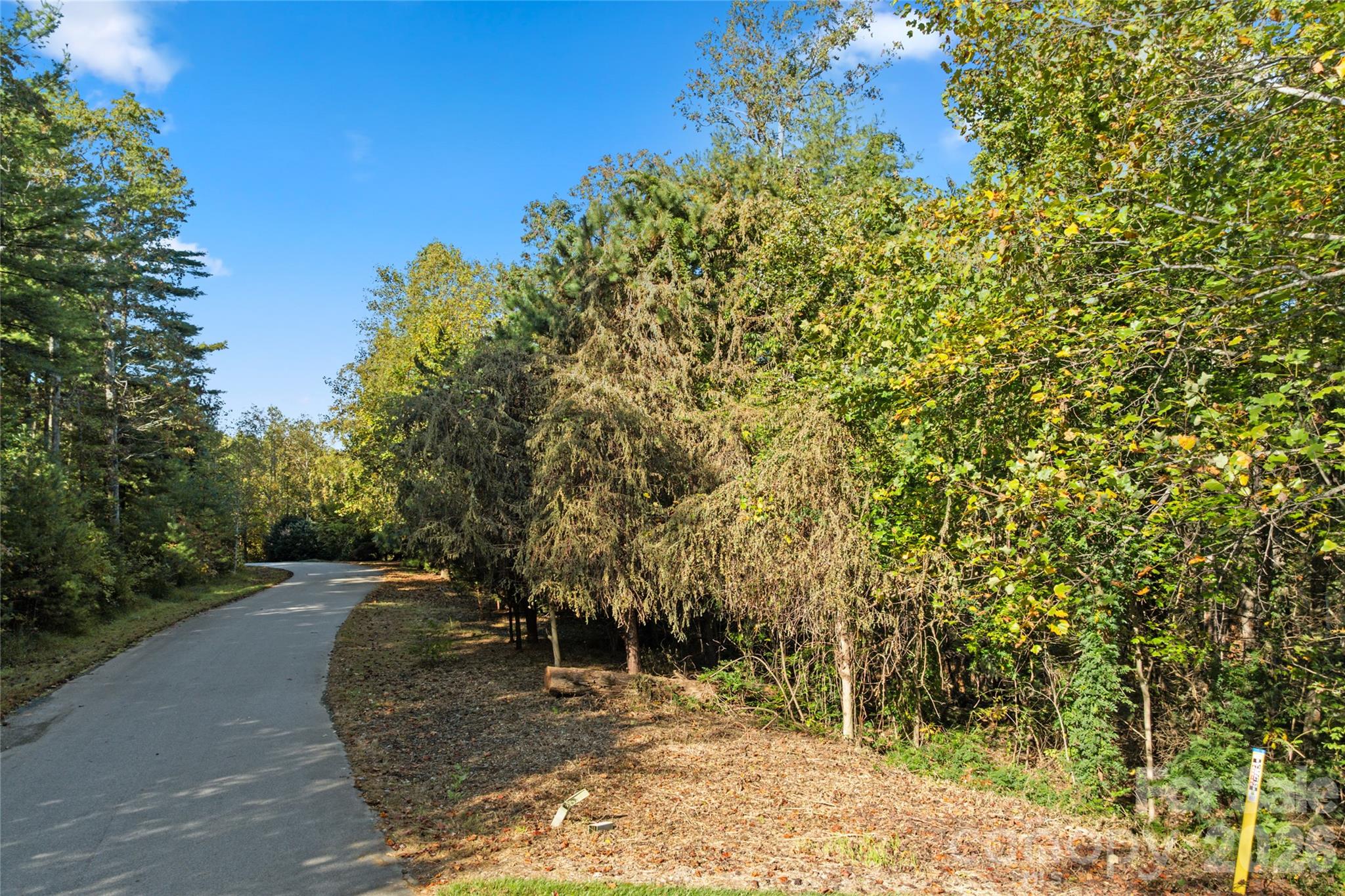 Facing west on Cedar Hill with lot on the right - 0 Cedar Hill Drive, Asheville