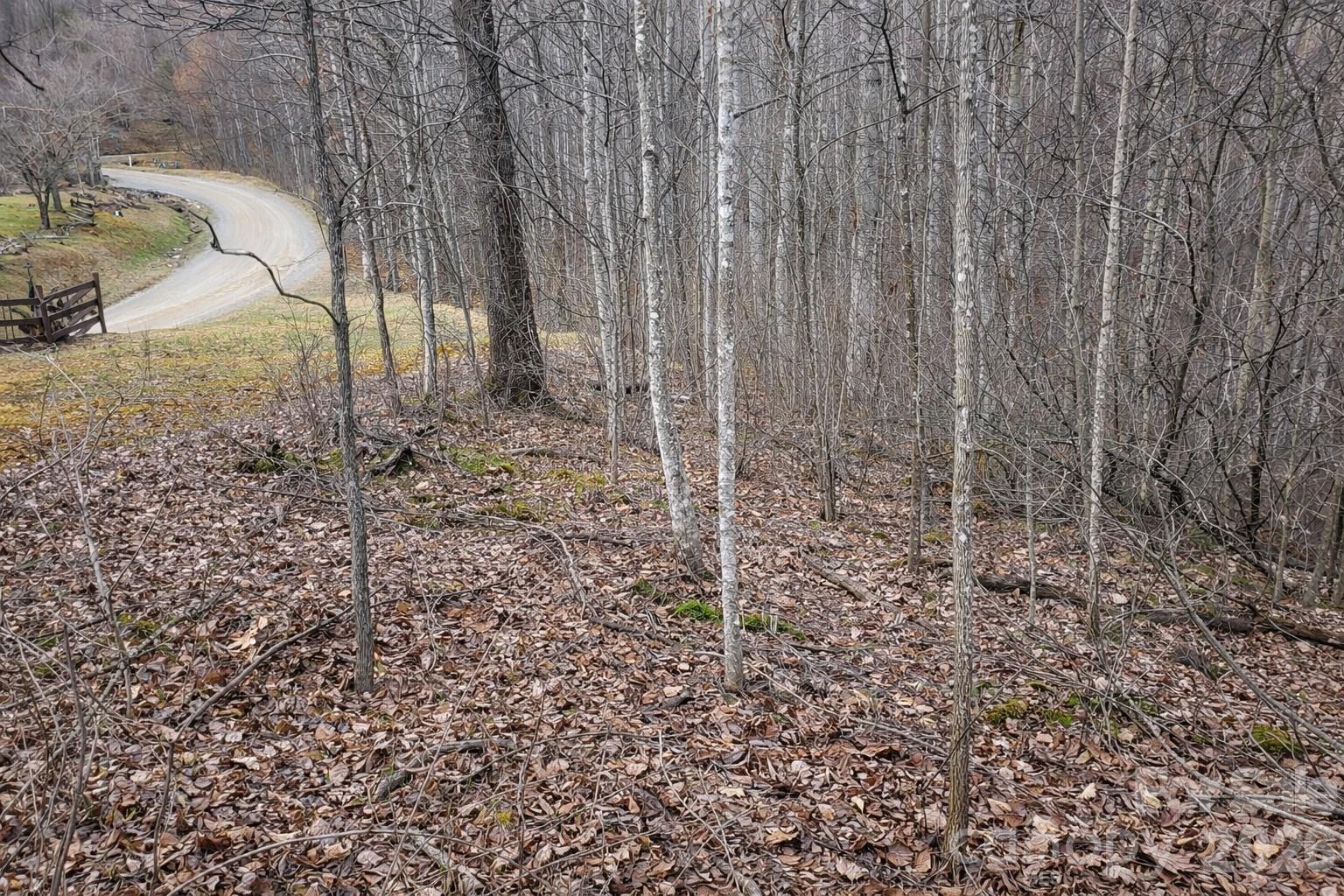 Lot at 00 Upward Way, Waynesville, photo 6 of 13