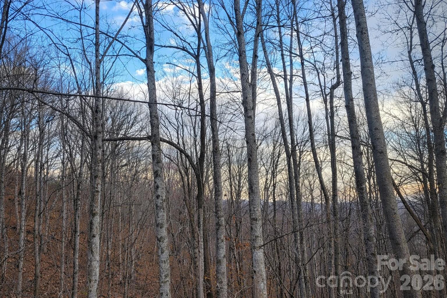 Lot at 00 Upward Way, Waynesville, photo 7 of 13