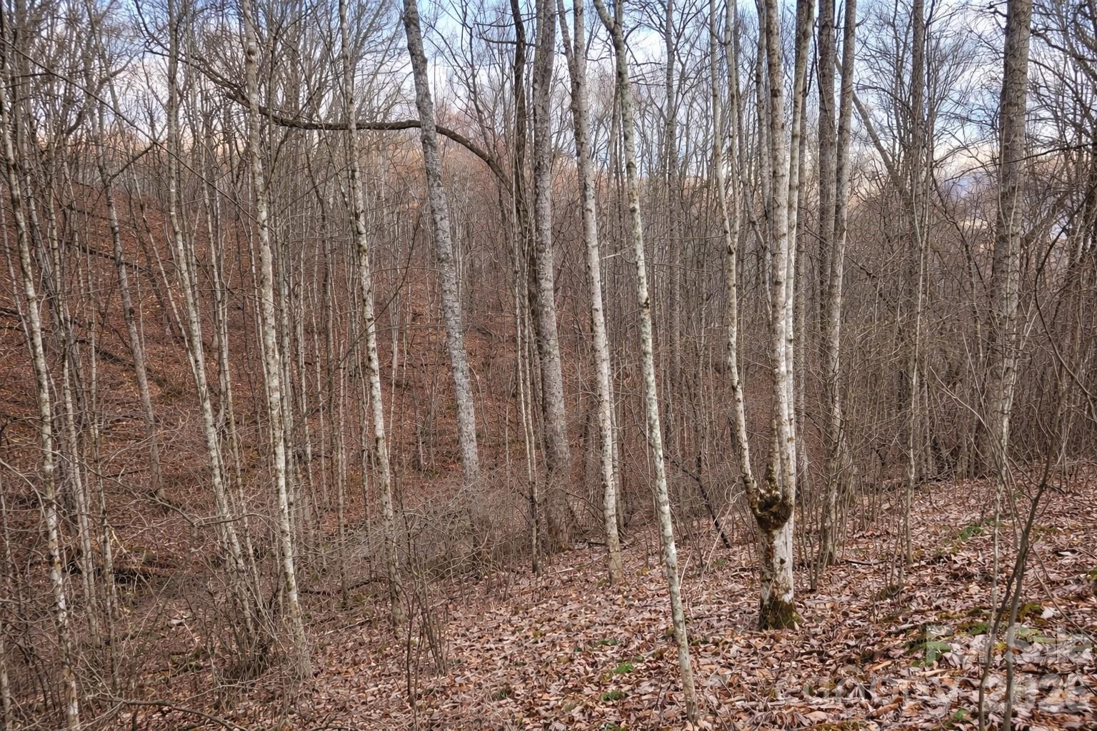 Lot at 00 Upward Way, Waynesville, photo 8 of 13