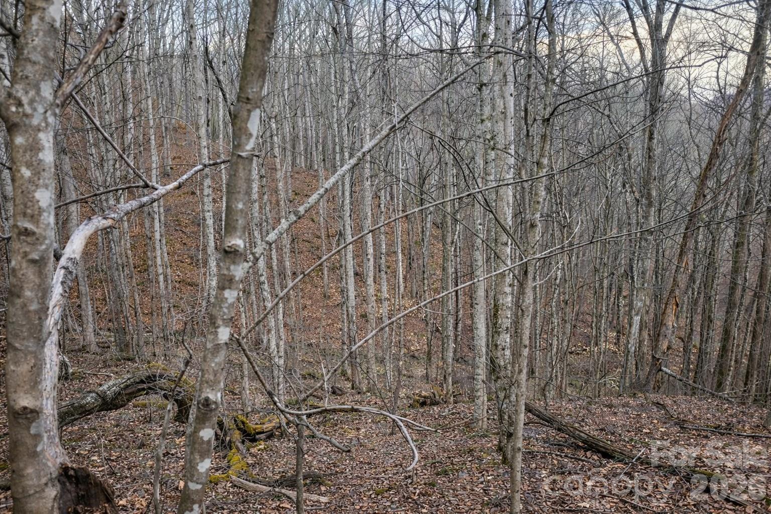 Lot at 00 Upward Way, Waynesville, photo 9 of 13