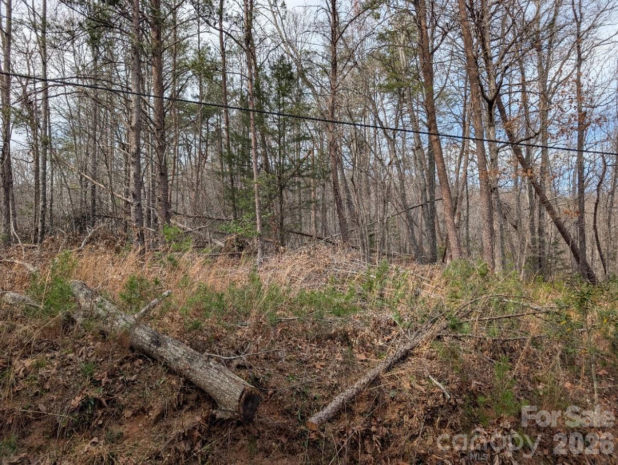 Acreage at 4960 Singleton Drive, Morganton, photo 4 of 14