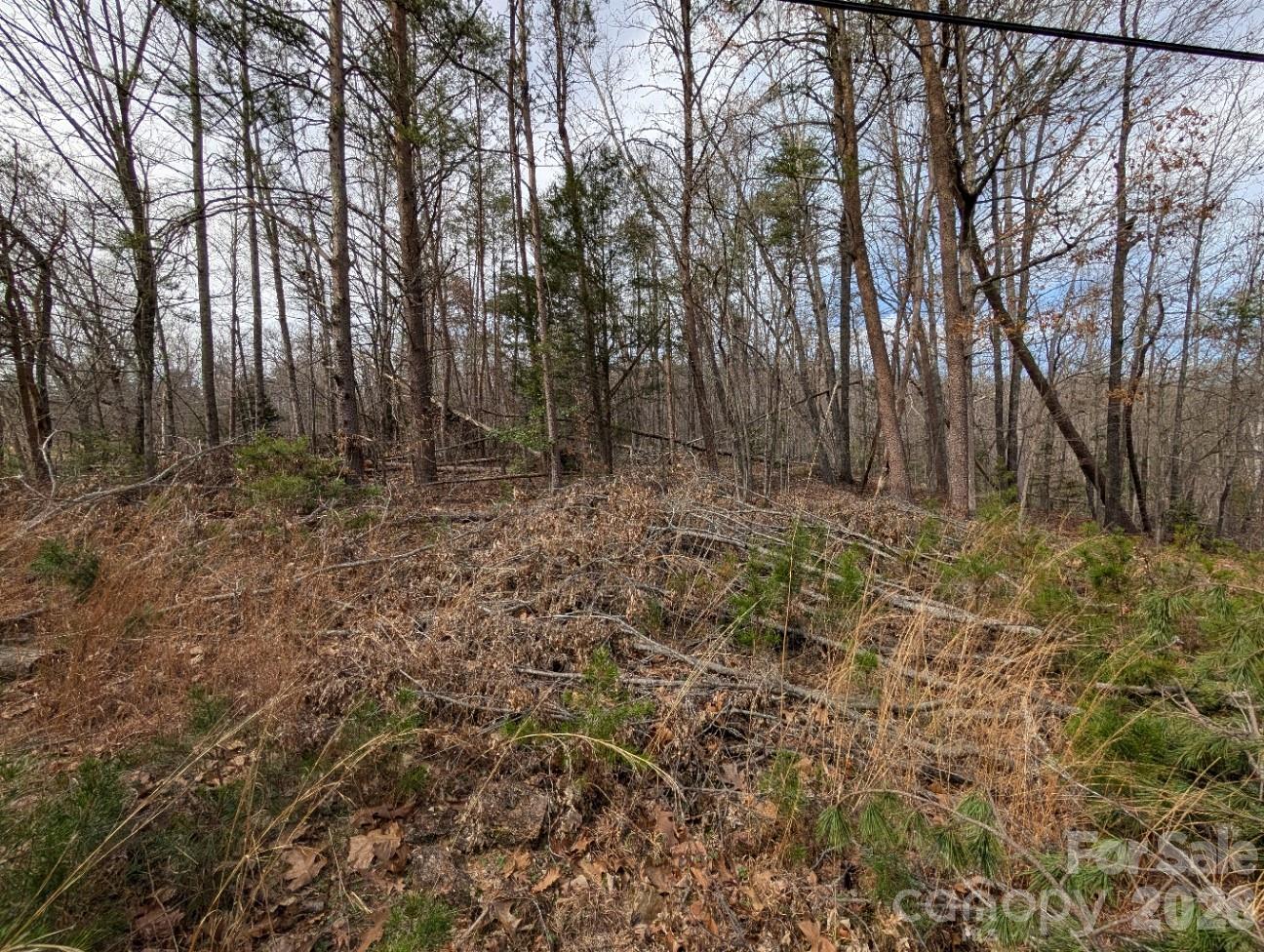 Acreage at 4960 Singleton Drive, Morganton, photo 5 of 14