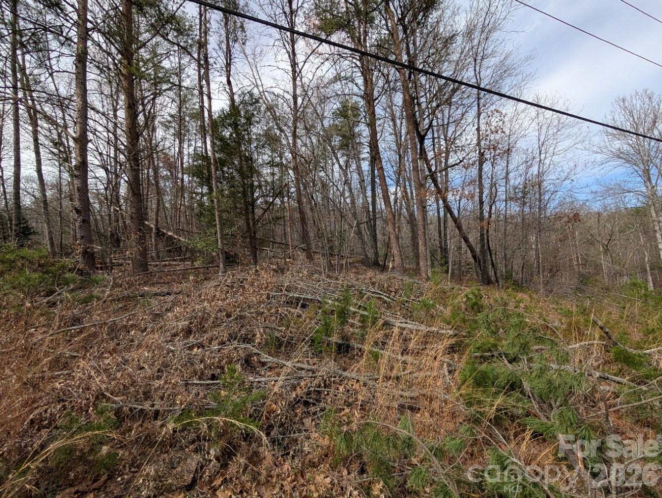 Acreage at 4960 Singleton Drive, Morganton, photo 6 of 14