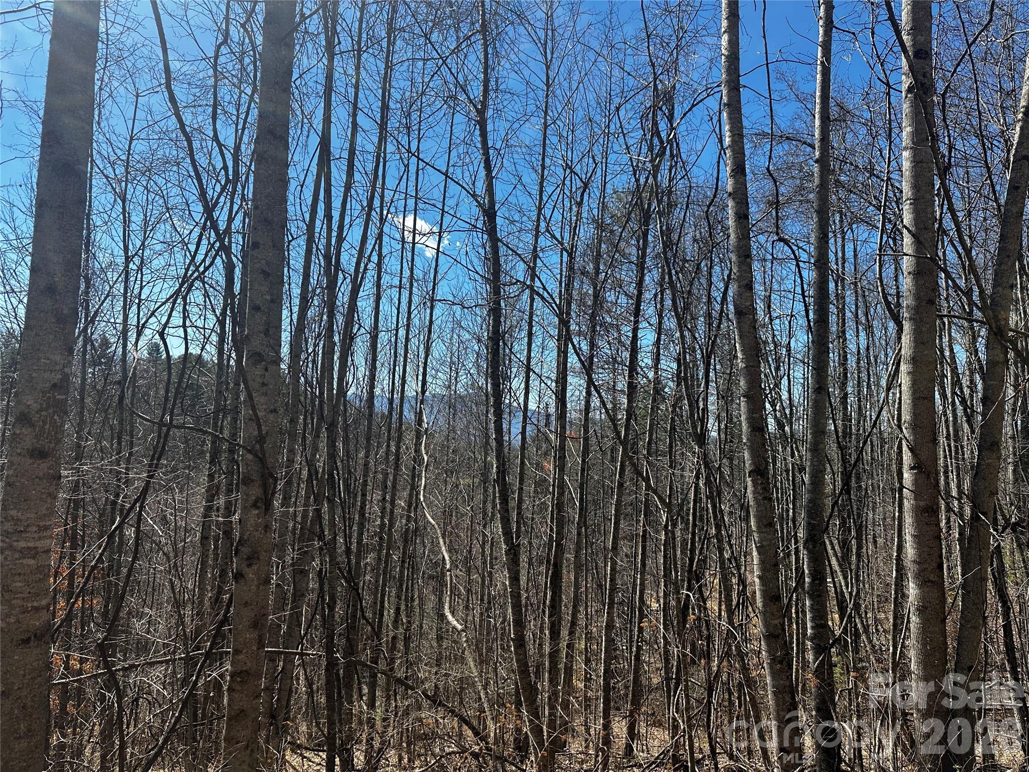 Lot at 00 Grace Ridge Road, Bakersville, photo 2 of 13
