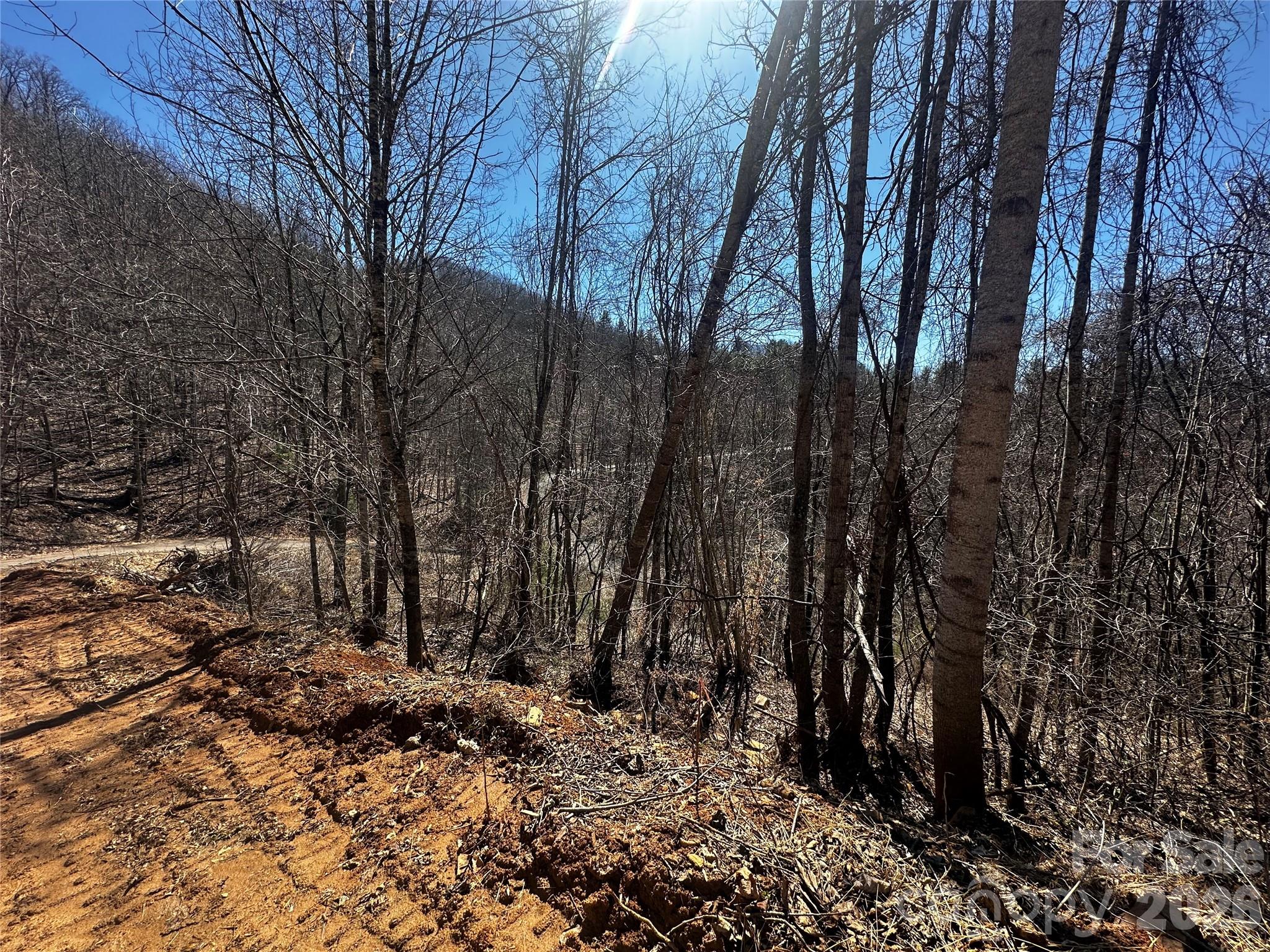 Lot at 00 Grace Ridge Road, Bakersville, photo 3 of 13