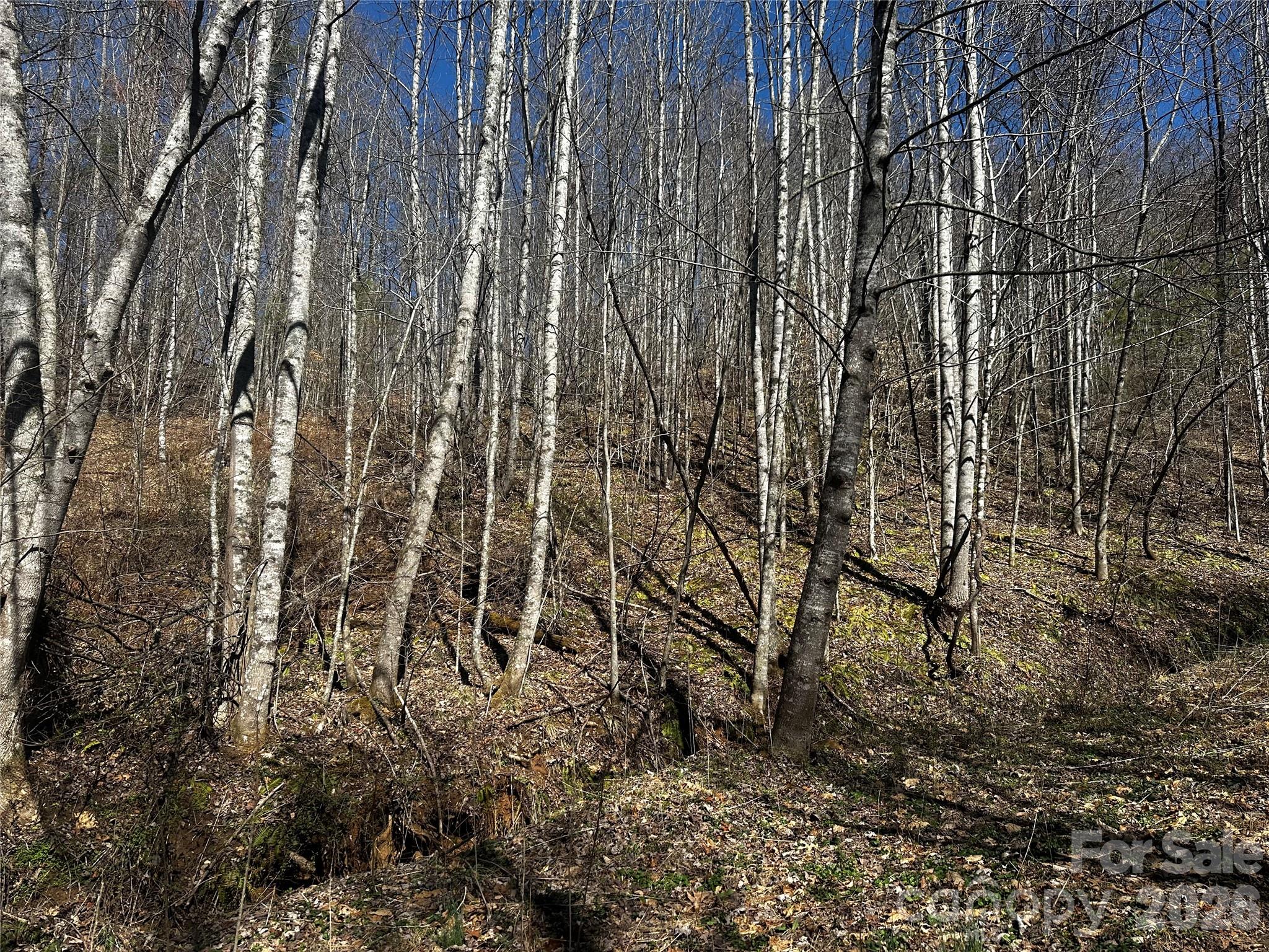 Lot at 00 Grace Ridge Road, Bakersville, photo 4 of 13