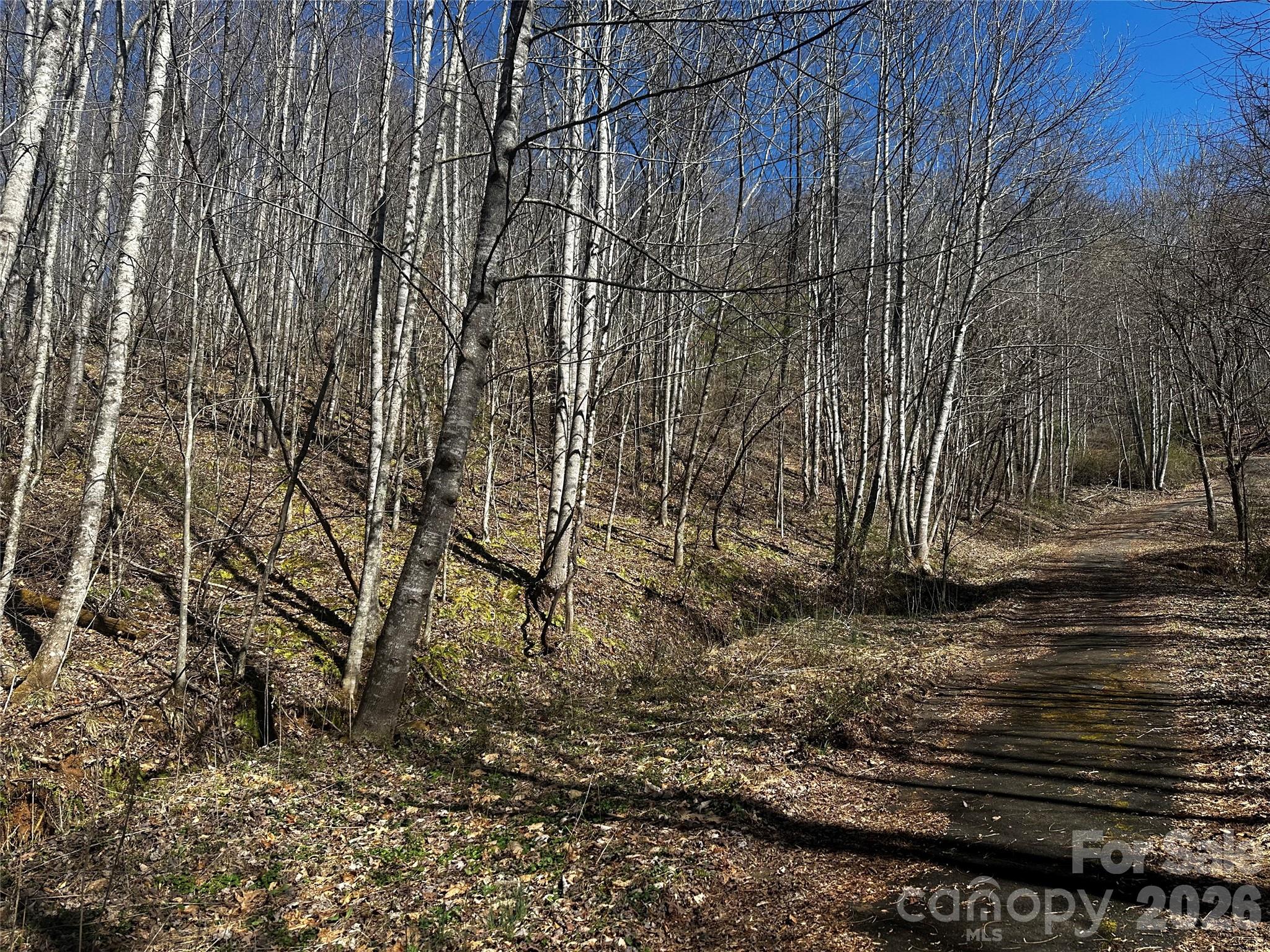 Lot at 00 Grace Ridge Road, Bakersville, photo 5 of 13