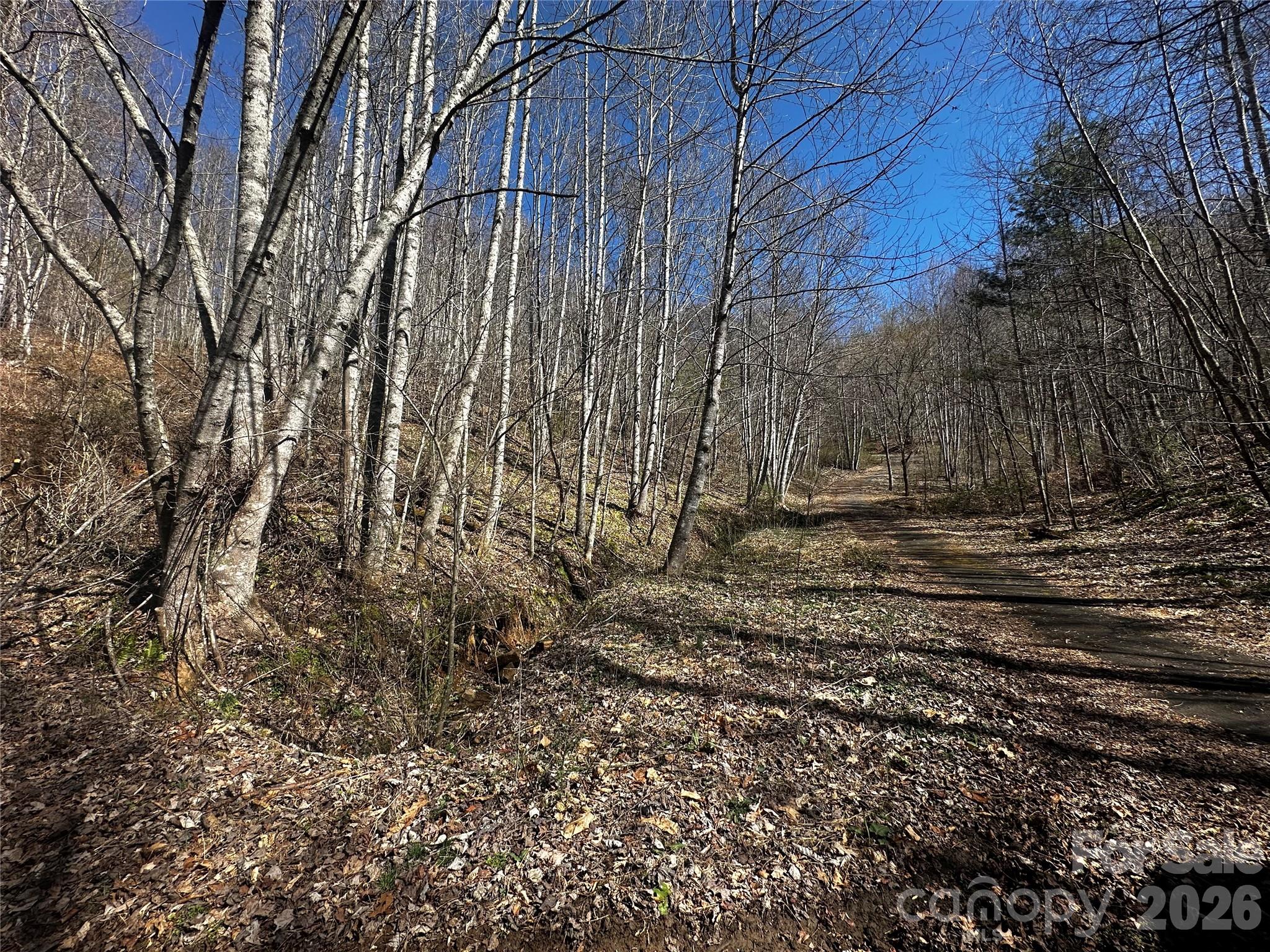 Lot at 00 Grace Ridge Road, Bakersville, photo 6 of 13