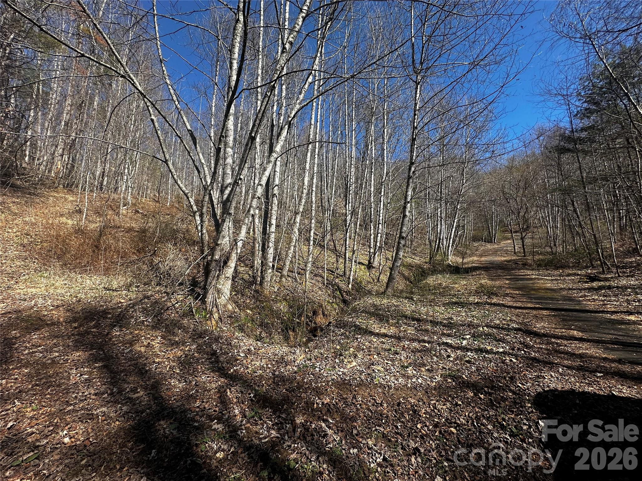 Lot at 00 Grace Ridge Road, Bakersville, photo 7 of 13