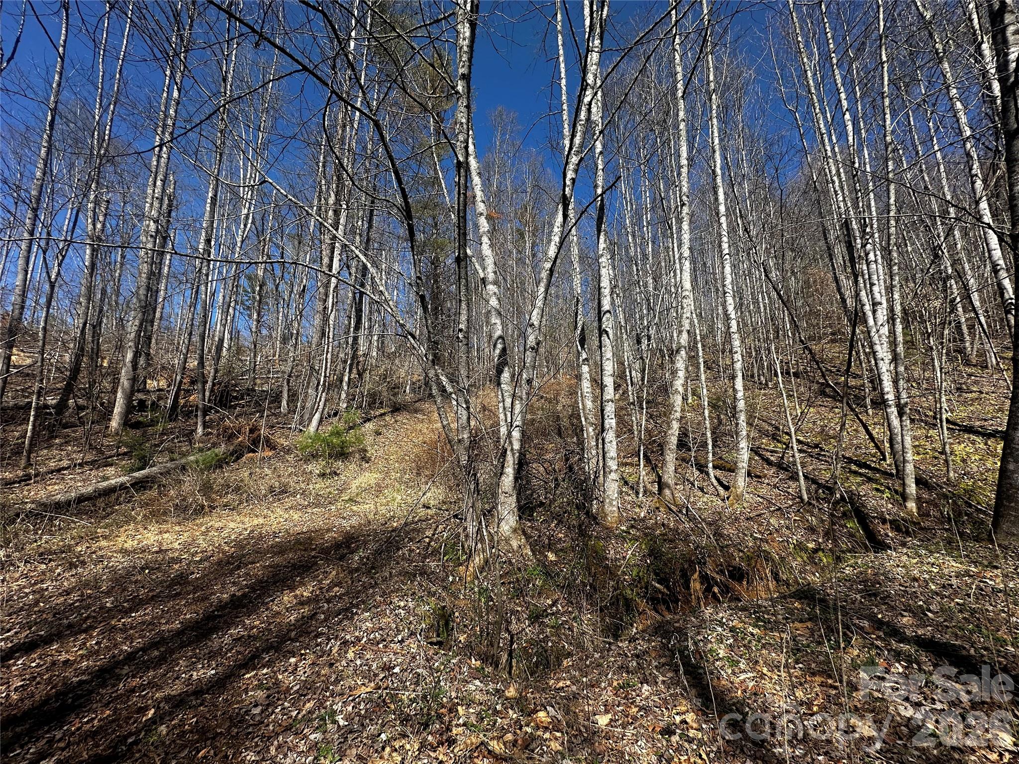 Lot at 00 Grace Ridge Road, Bakersville, photo 8 of 13