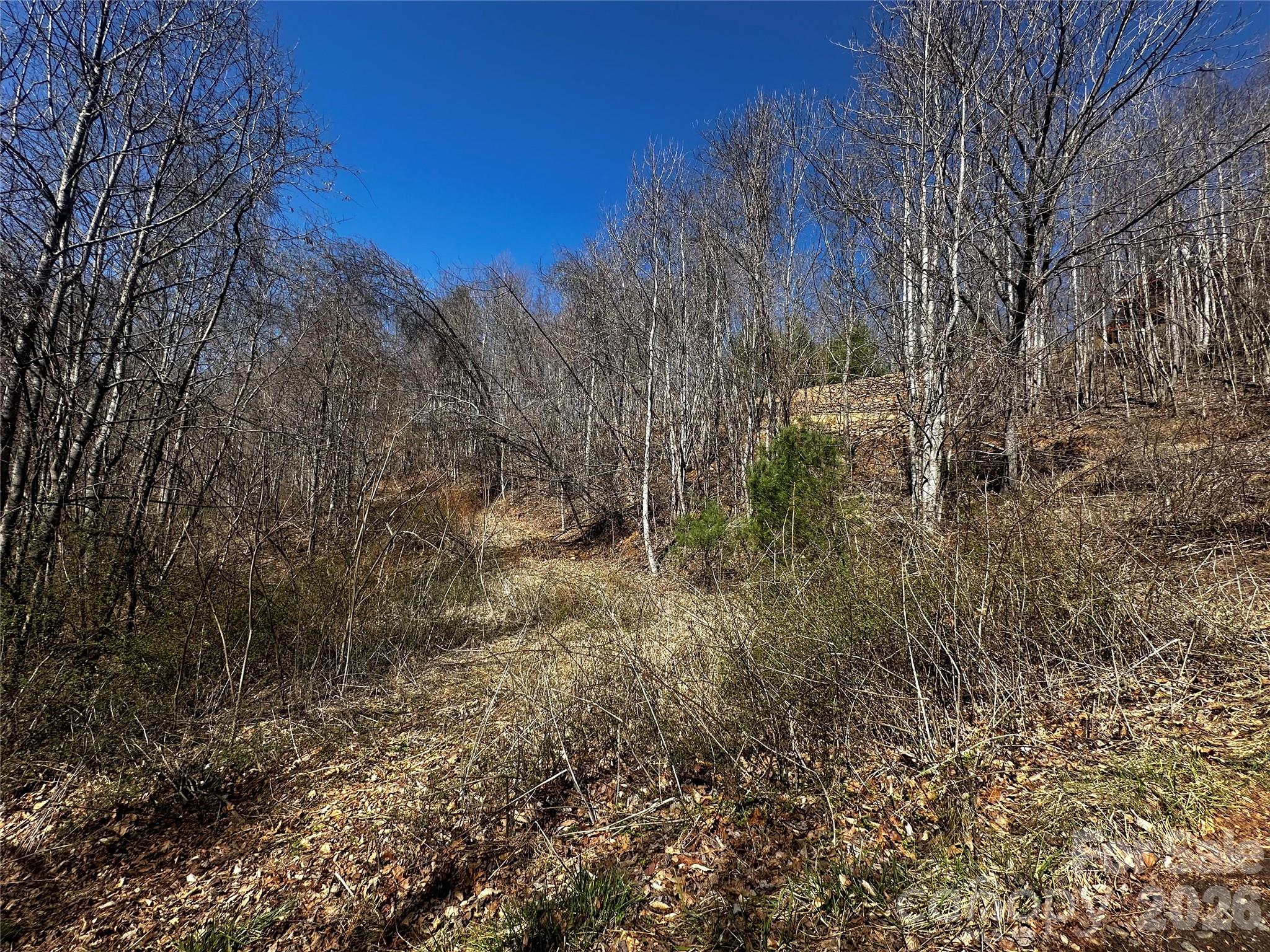 Lot at 00 Grace Ridge Road, Bakersville, photo 9 of 13