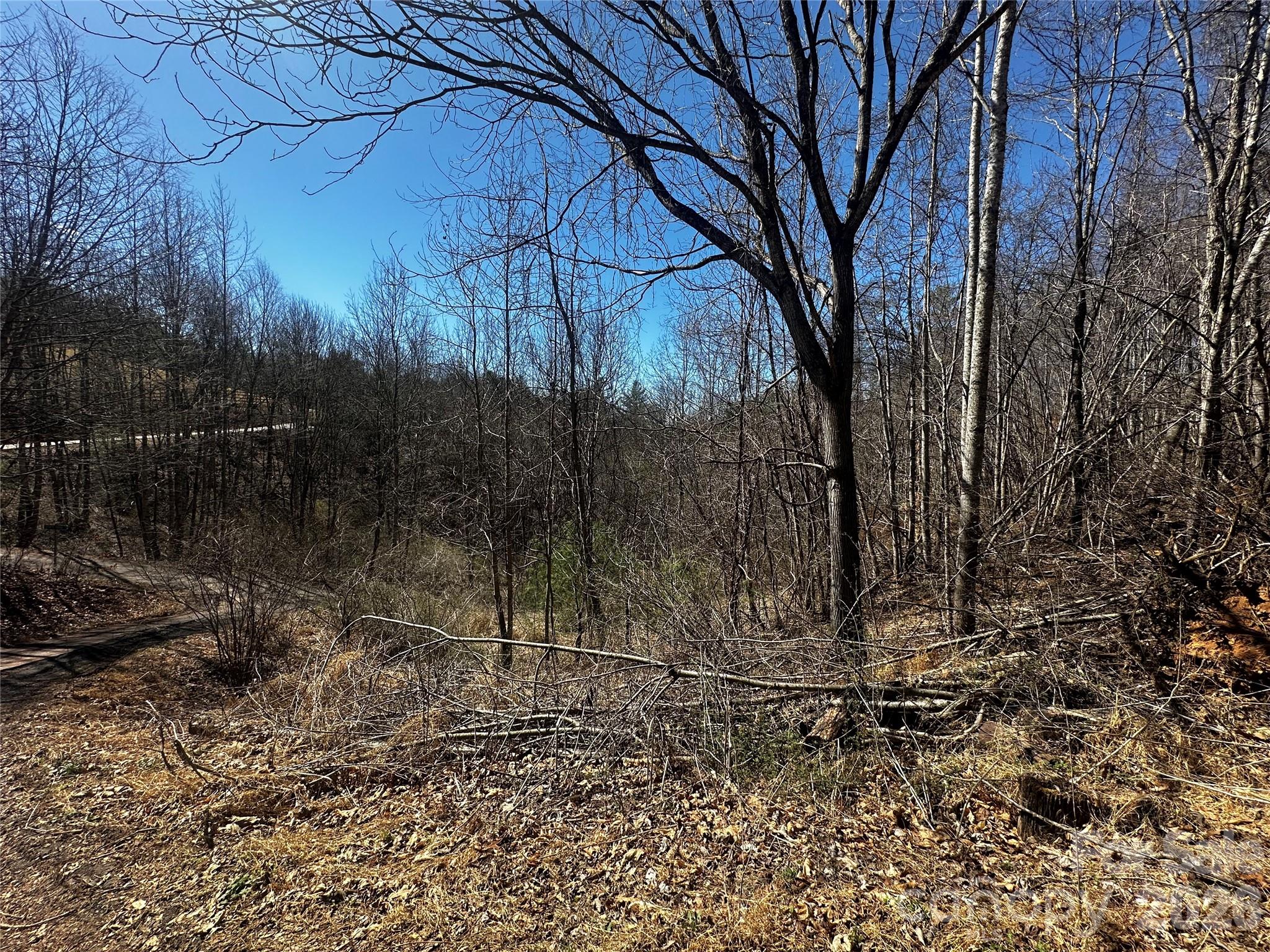 Lot at 00 Grace Ridge Road, Bakersville, photo 10 of 13