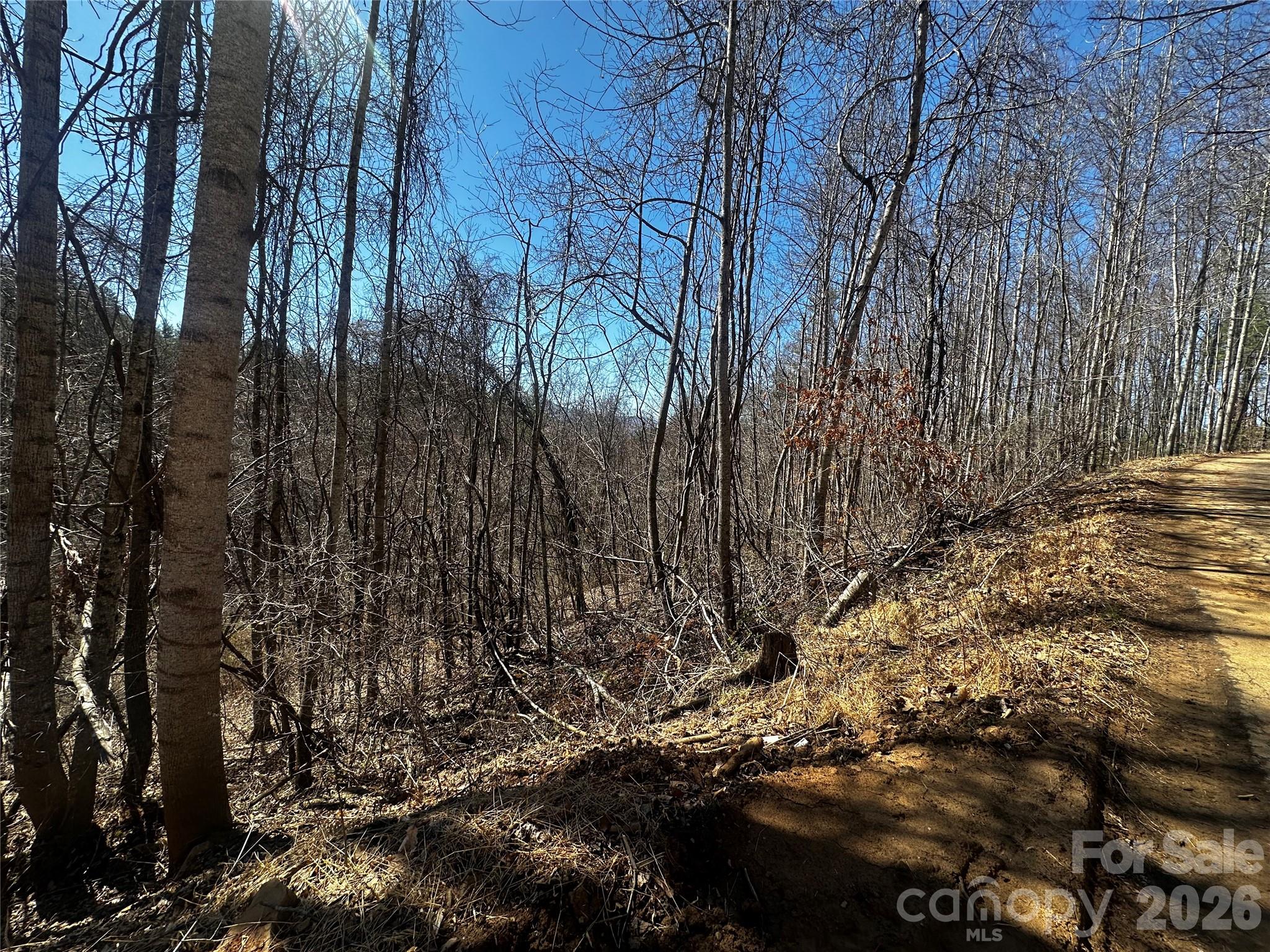 Lot at 00 Grace Ridge Road, Bakersville, photo 12 of 13