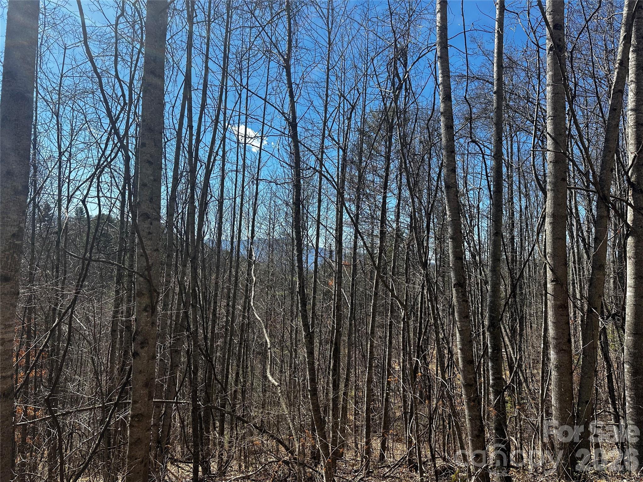 Lot at 00 Grace Ridge Road, Bakersville, photo 13 of 13