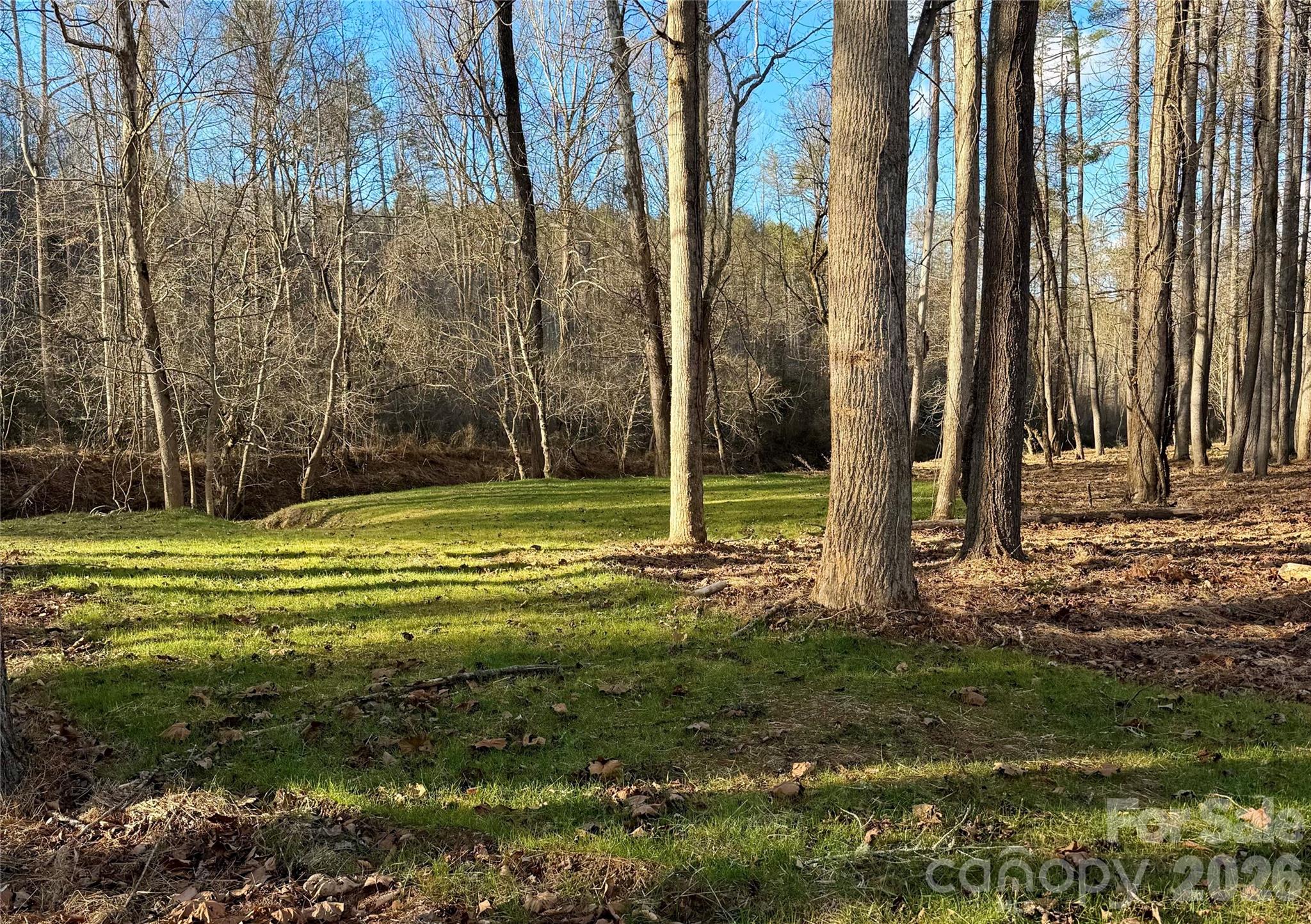 Lot at 5915 River Hollow Trail, Lenoir, photo 11 of 47