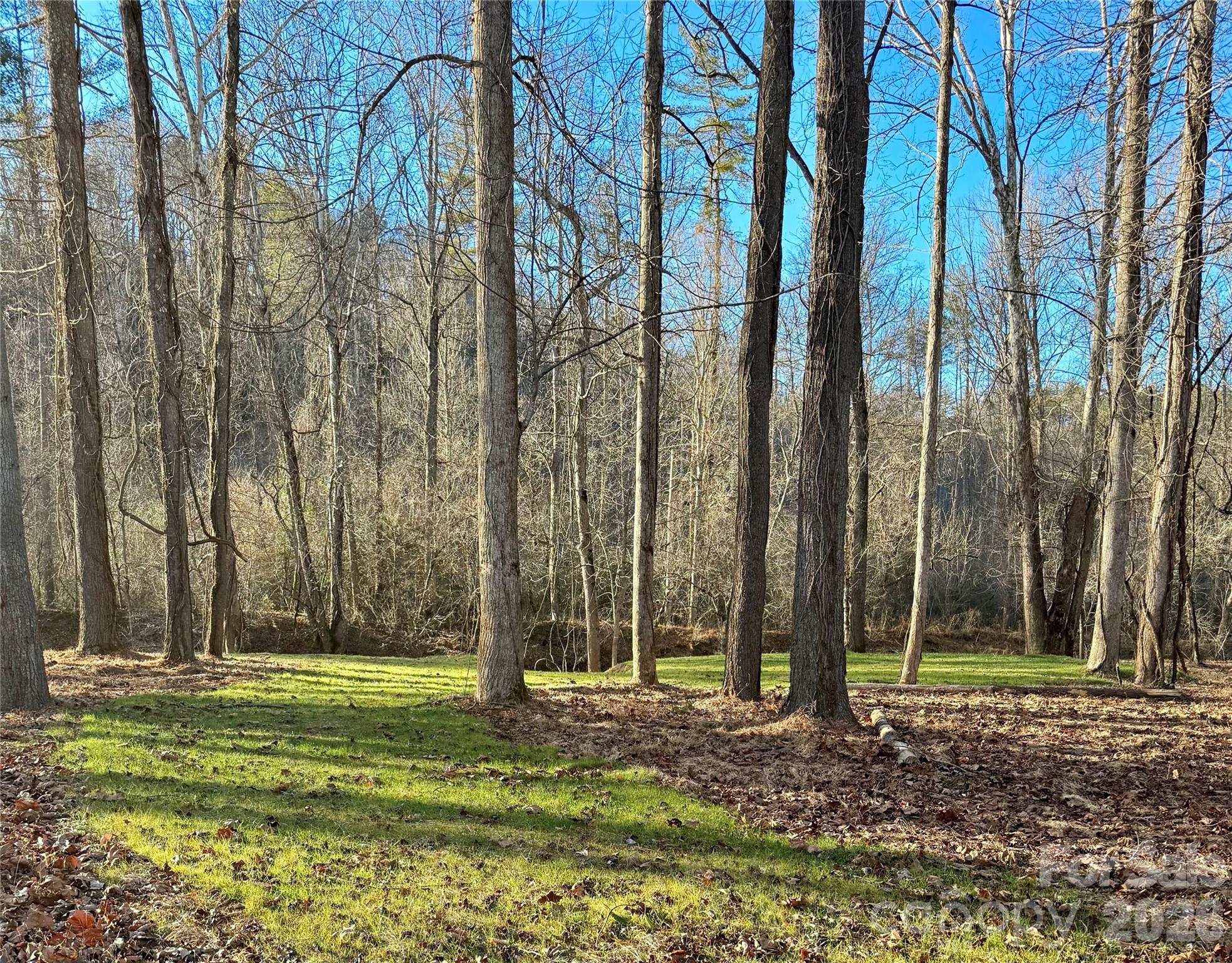 Lot at 5915 River Hollow Trail, Lenoir, photo 10 of 47