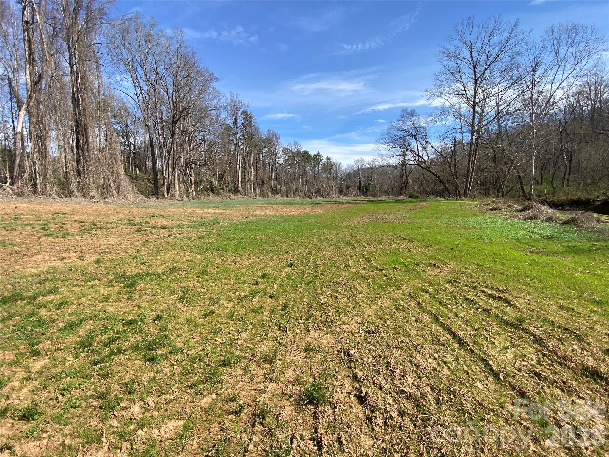 Acreage at 0 Coxe Road, Rutherfordton, photo 3 of 20