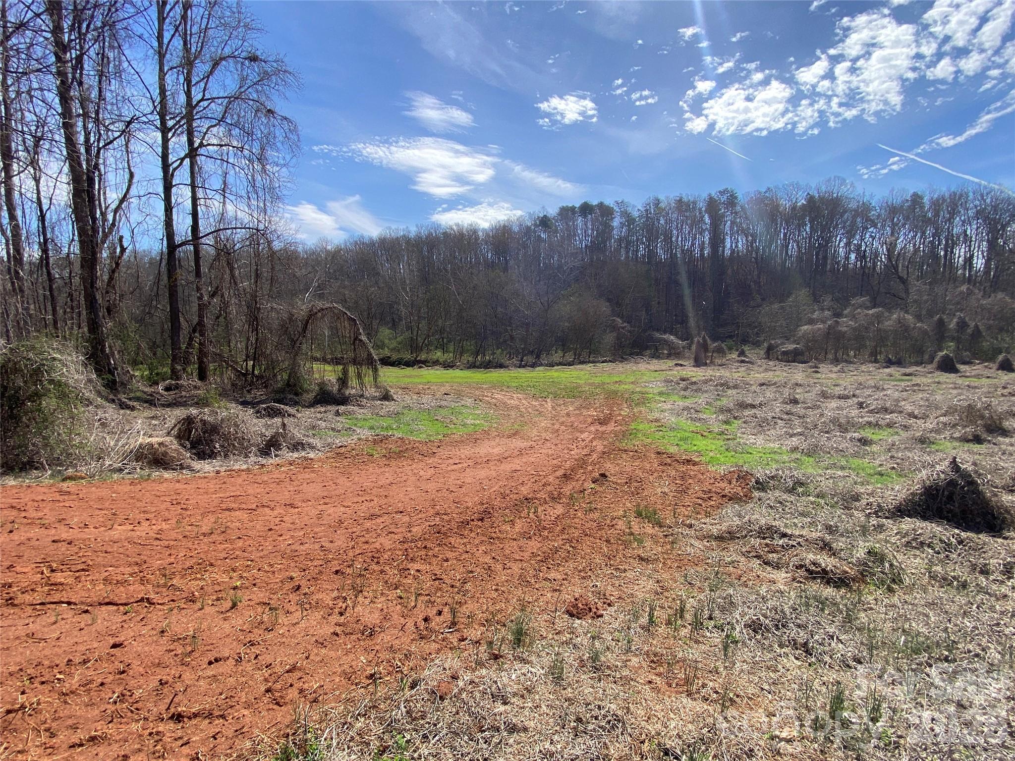Acreage at 0 Coxe Road, Rutherfordton, photo 4 of 20