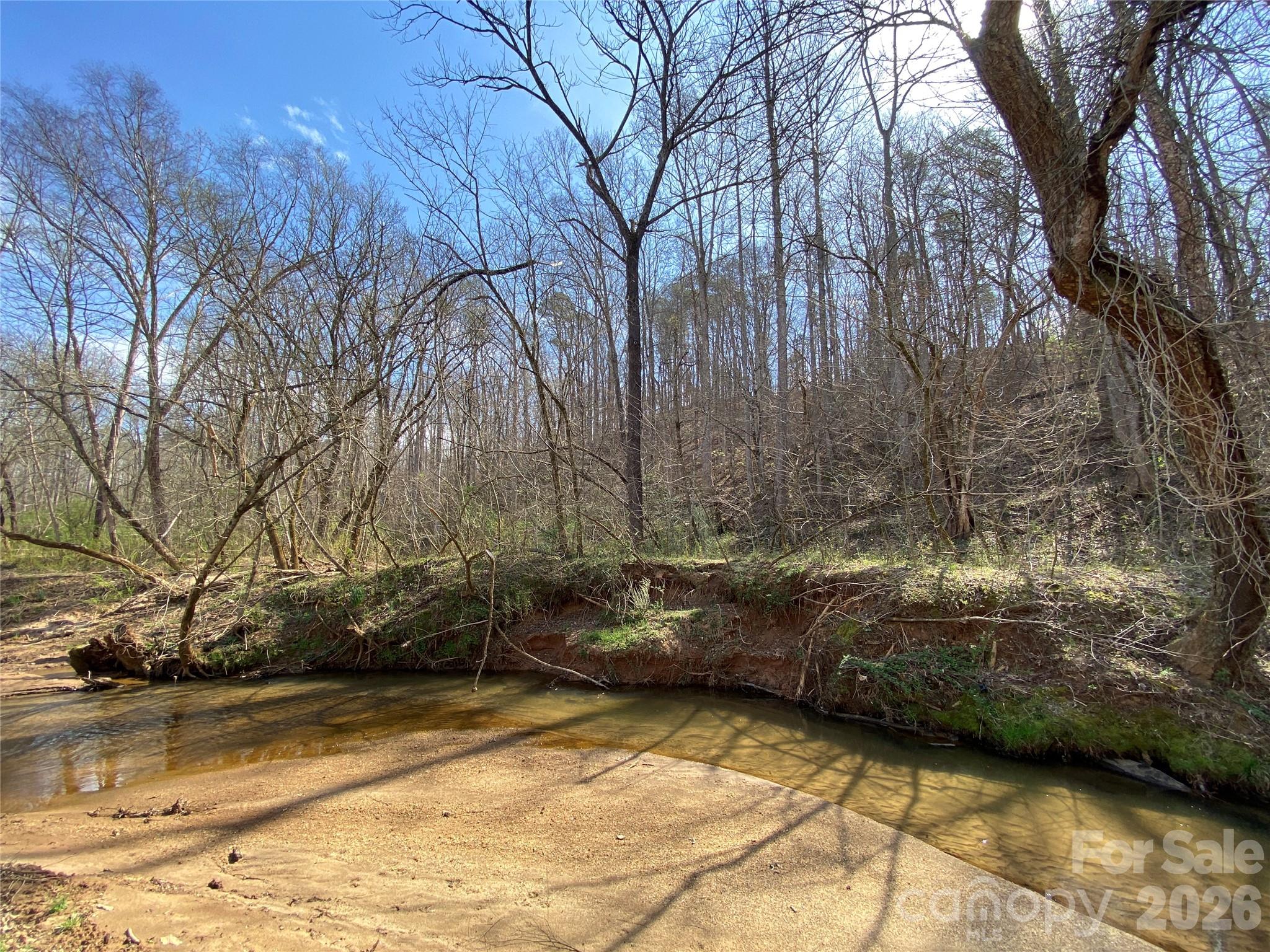 Acreage at 0 Coxe Road, Rutherfordton, photo 7 of 20