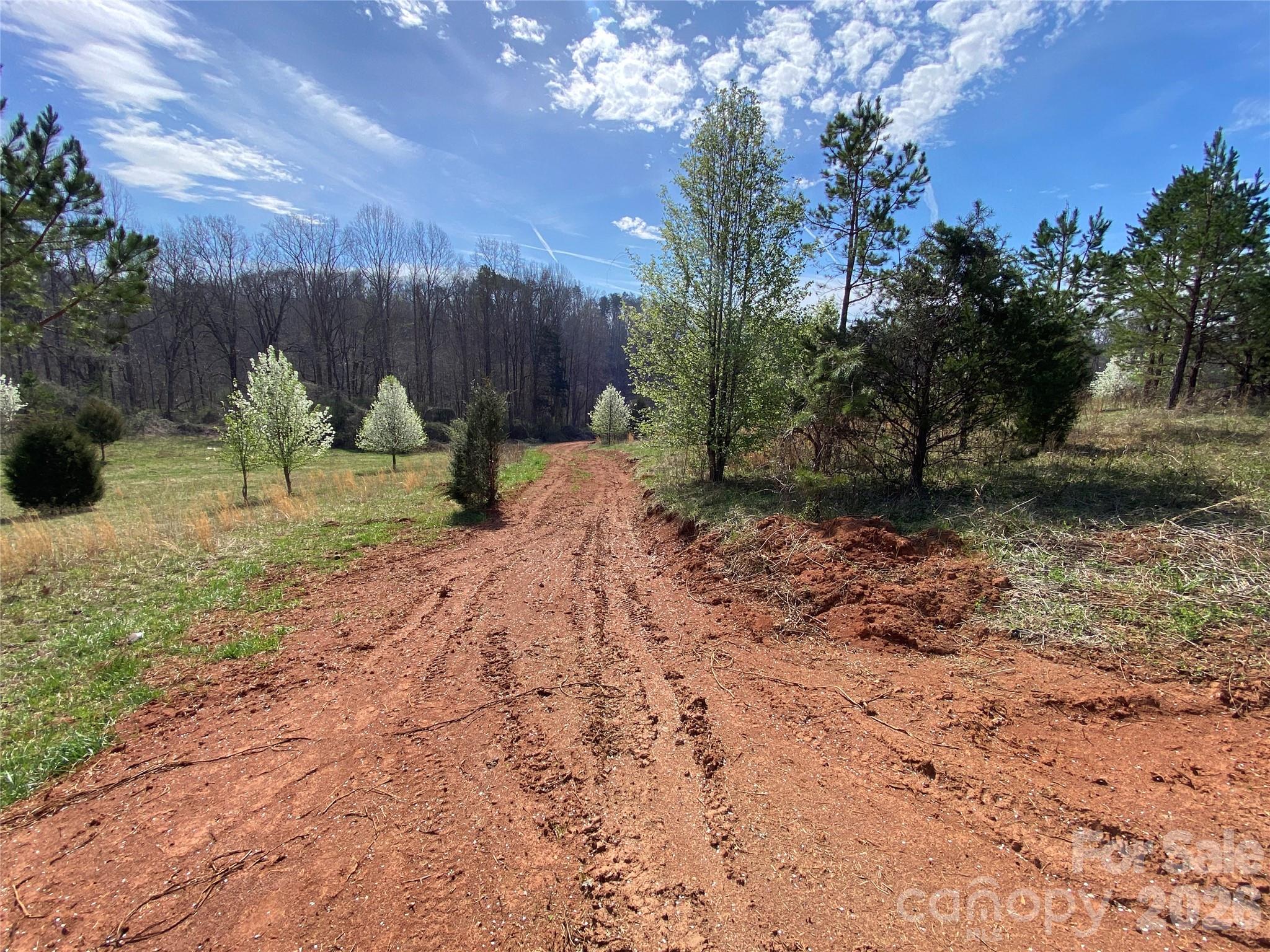 Existing Road Bed - 0 Coxe Road, Rutherfordton